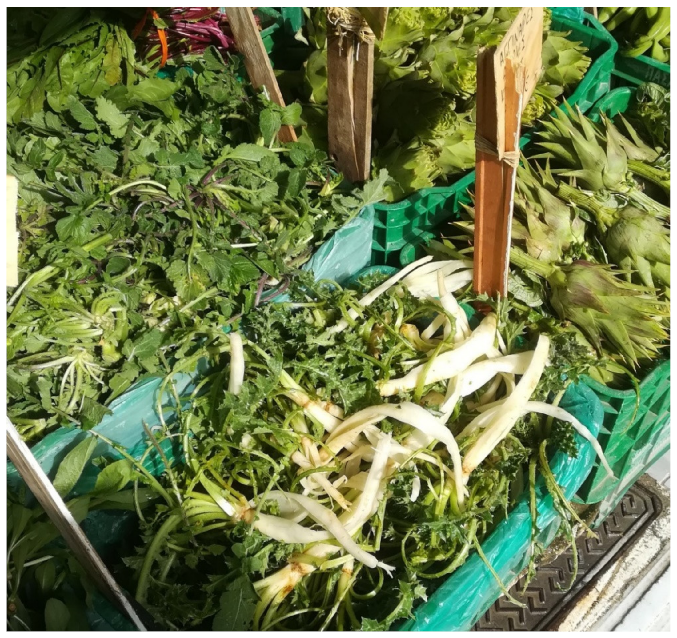 Biology 11 00673 g008 550