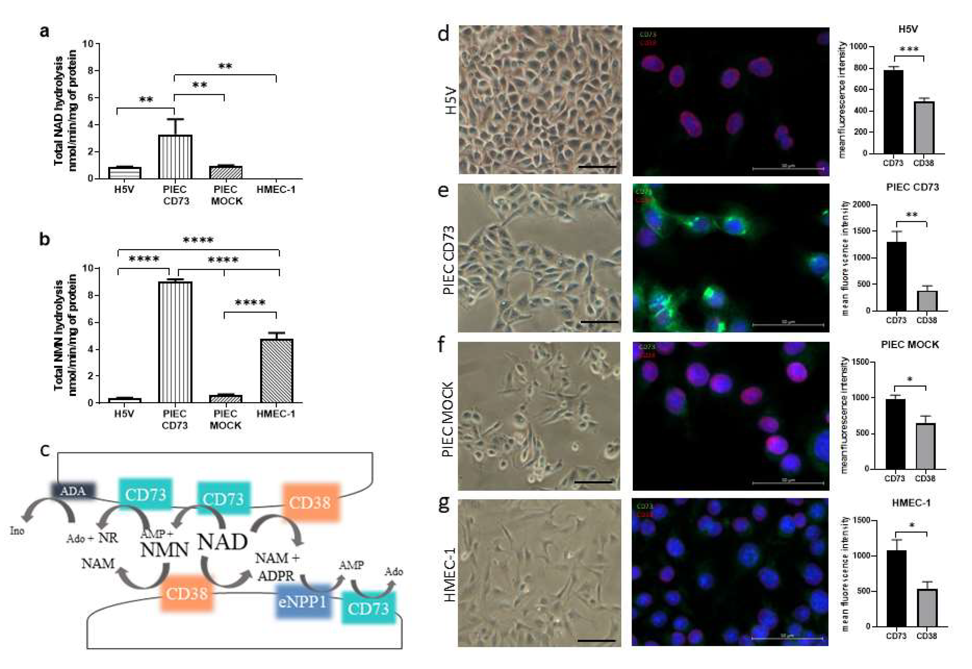 Biology 11 00675 g001