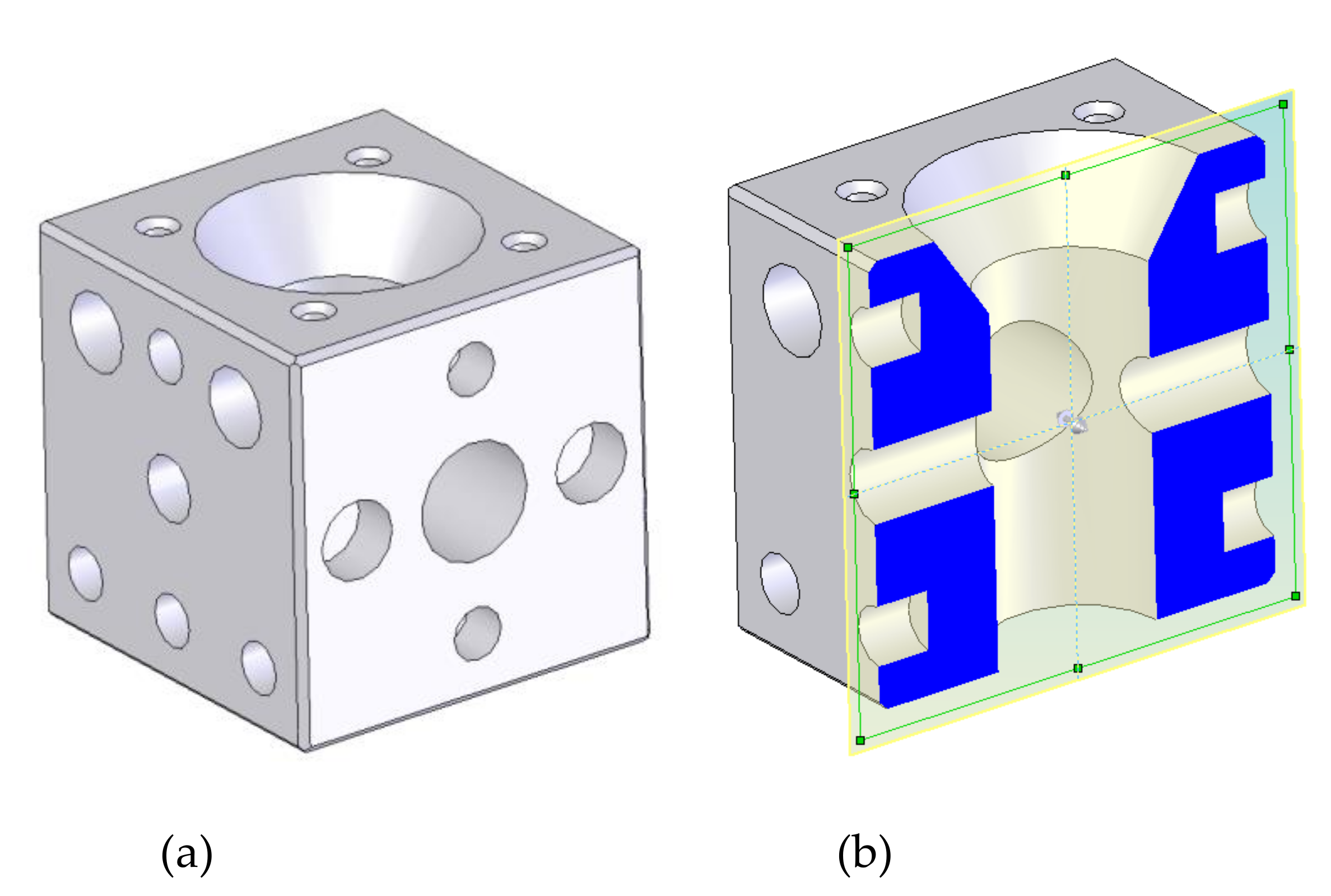 Biology 11 00680 g006 Biology 11 00680 g006