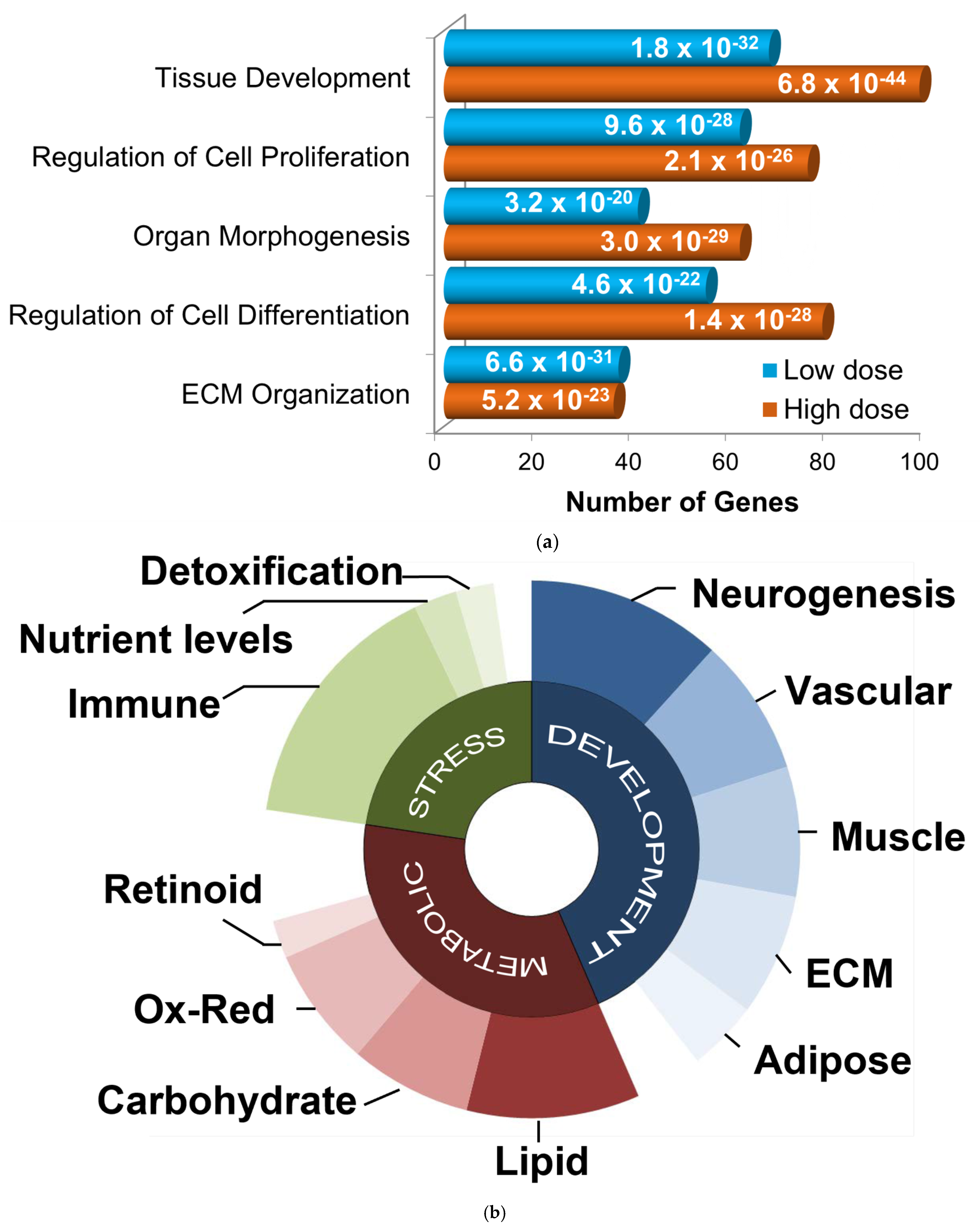 Biology 11 00682 g003 Biology 11 00682 g003