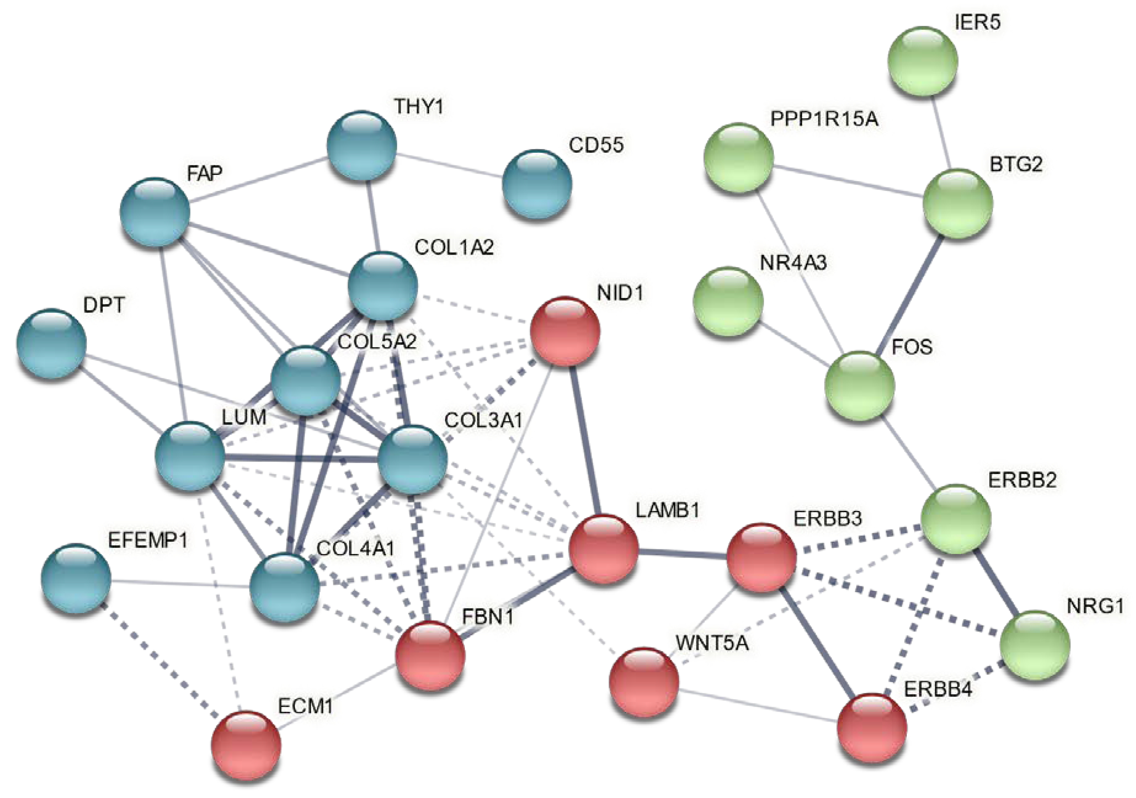 Biology 11 00682 g004 Biology 11 00682 g004