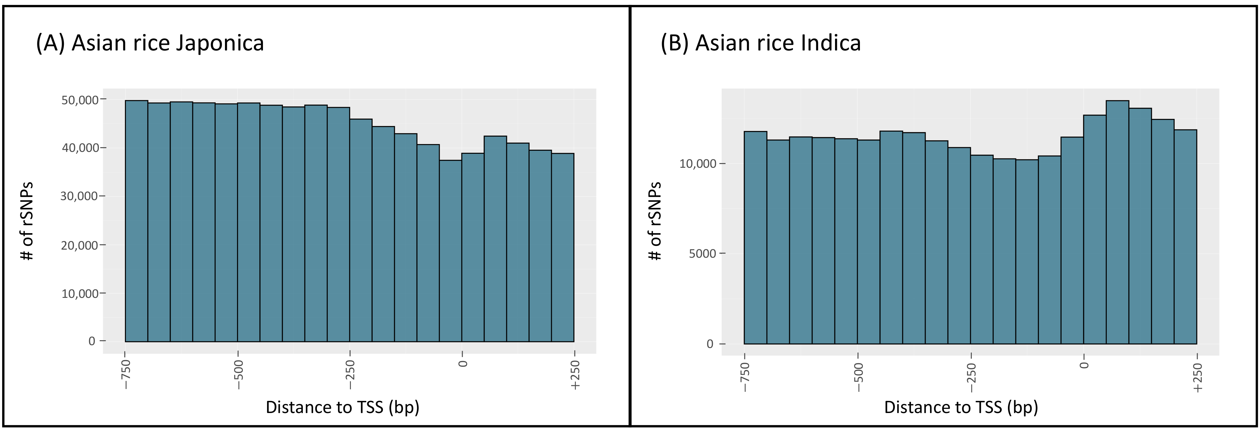 Biology 11 00684 g003 Biology 11 00684 g003