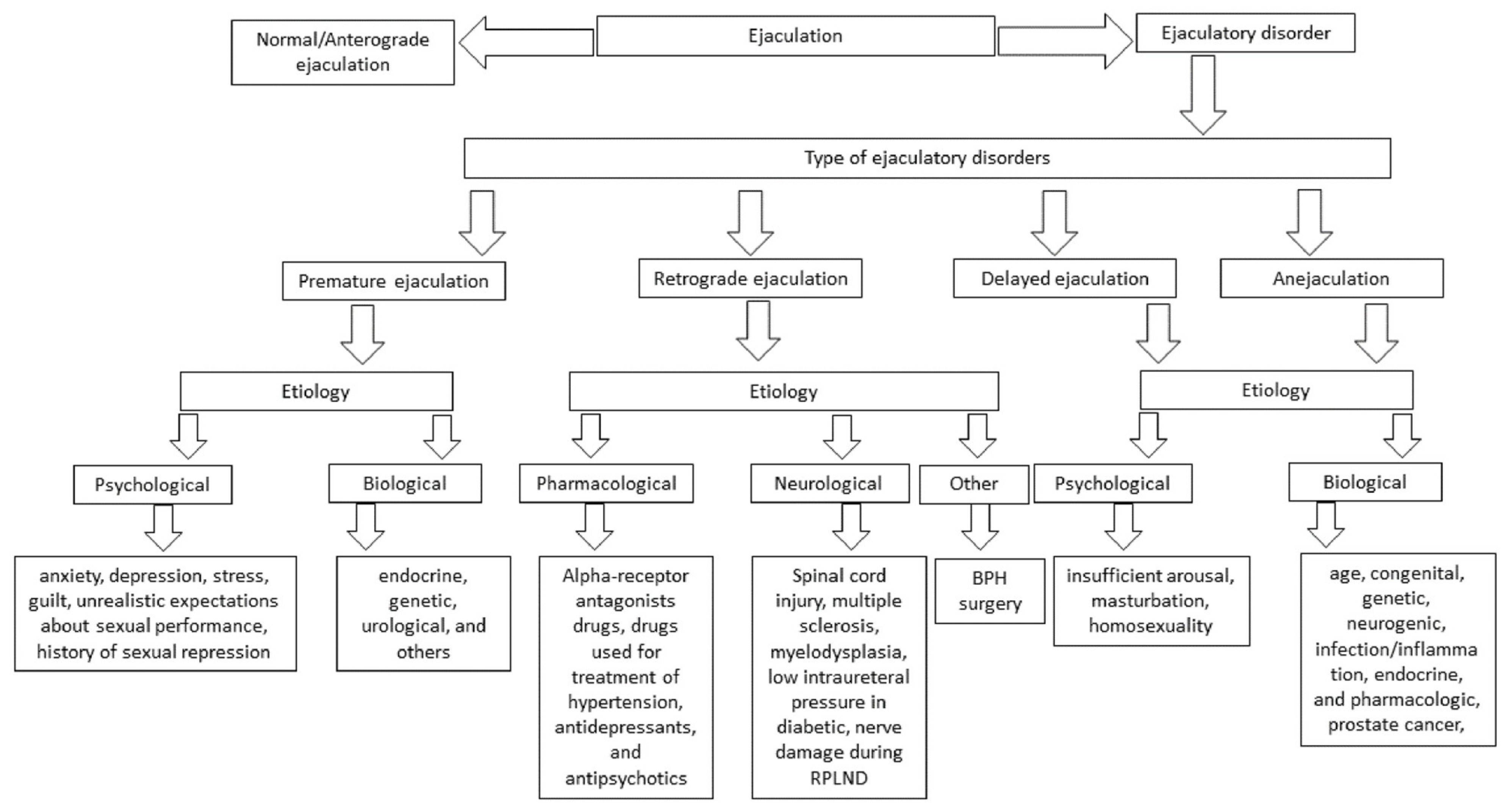 Biology 11 00686 g003 Biology 11 00686 g003
