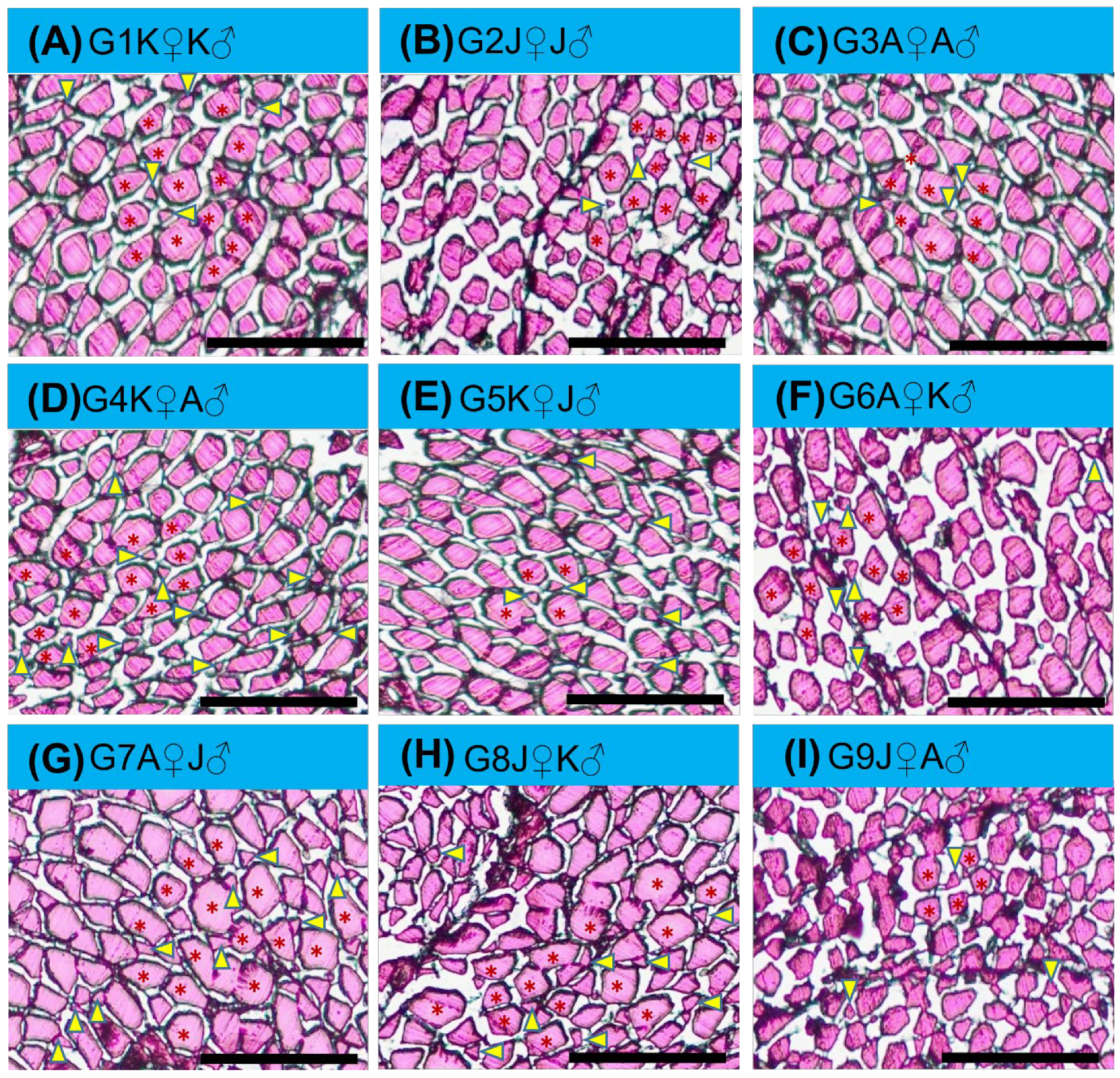 Biology 11 00691 g004 Biology 11 00691 g004