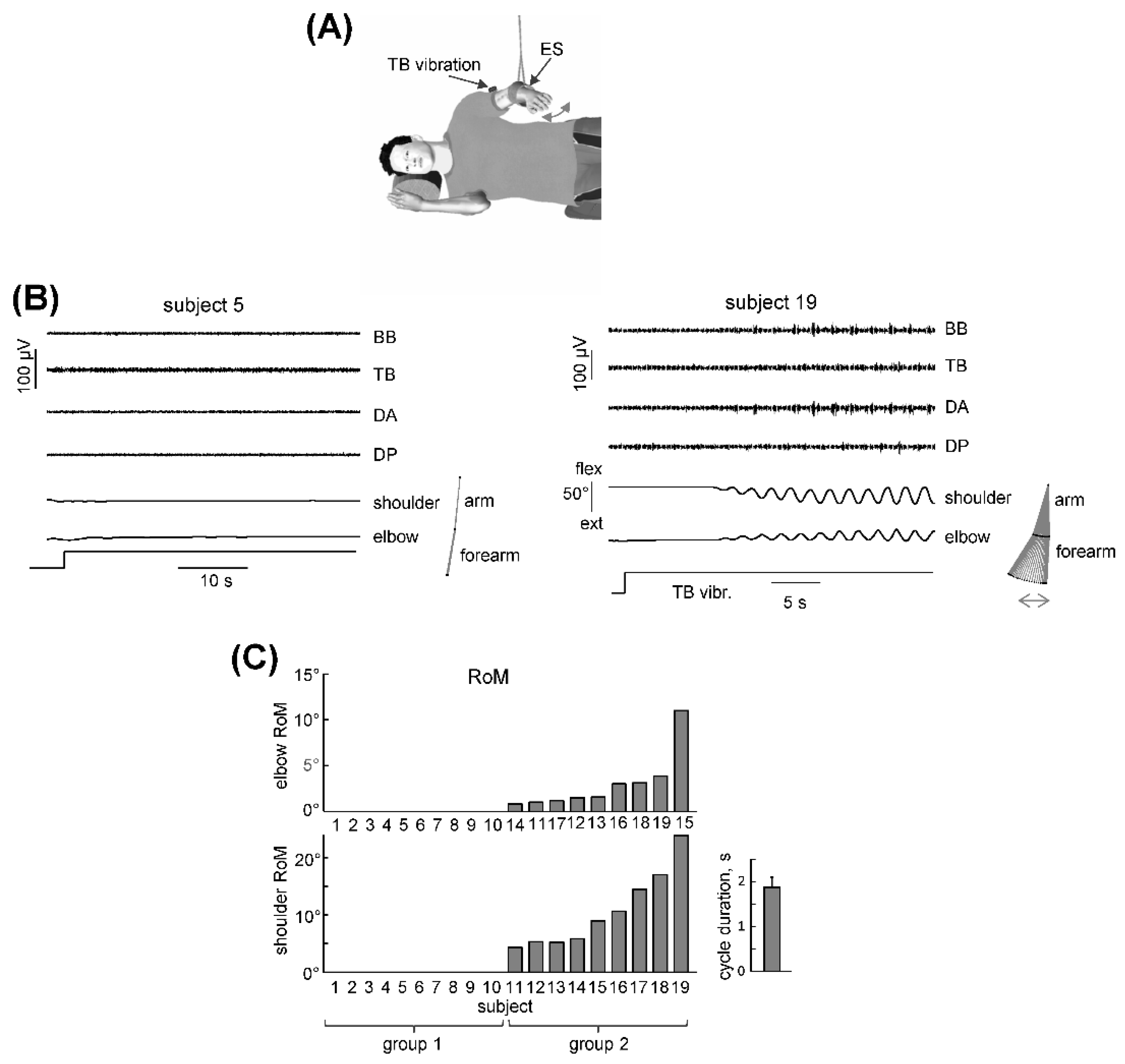 Biology 11 00707 g001 Biology 11 00707 g001