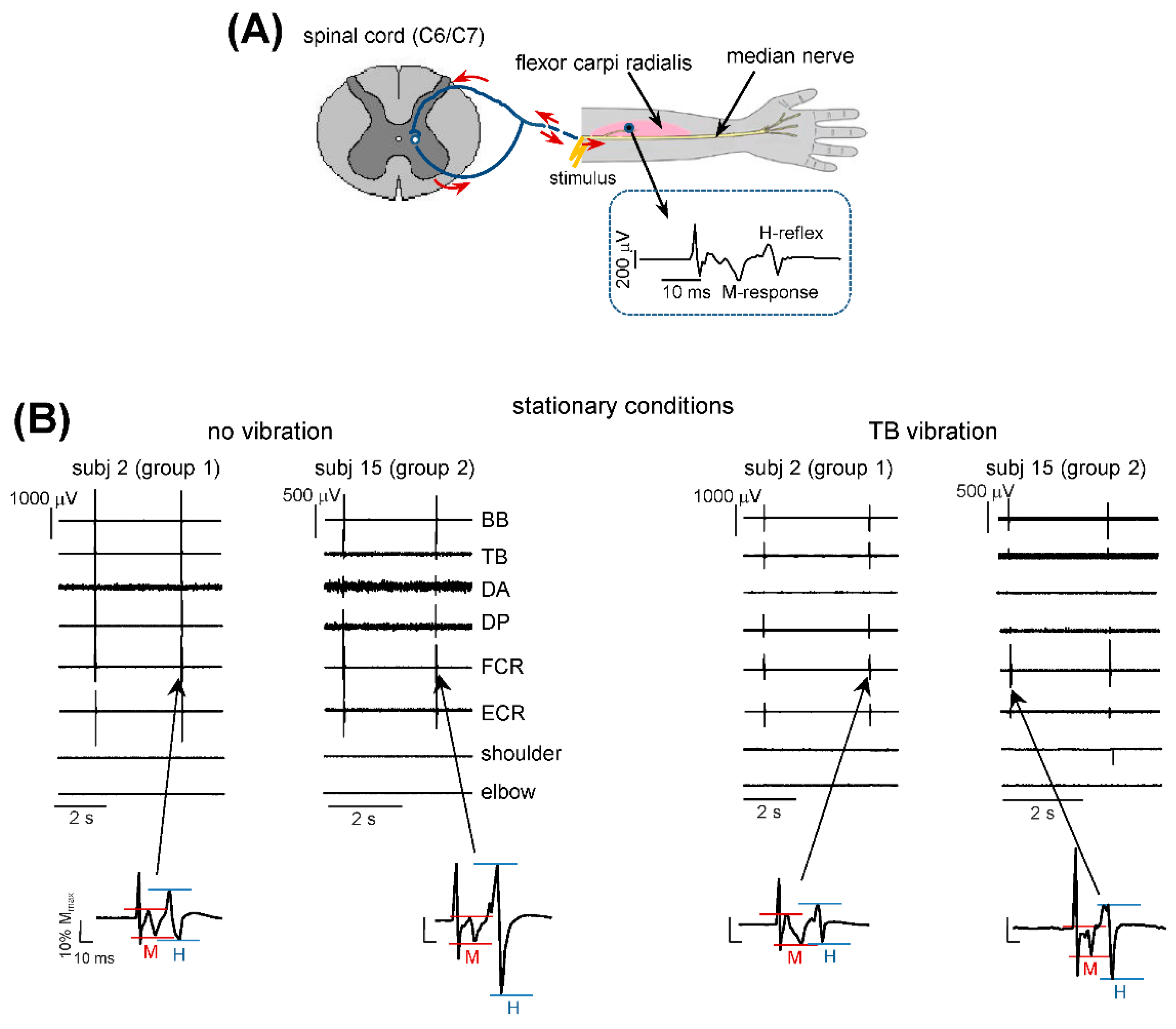 Biology 11 00707 g002 Biology 11 00707 g002