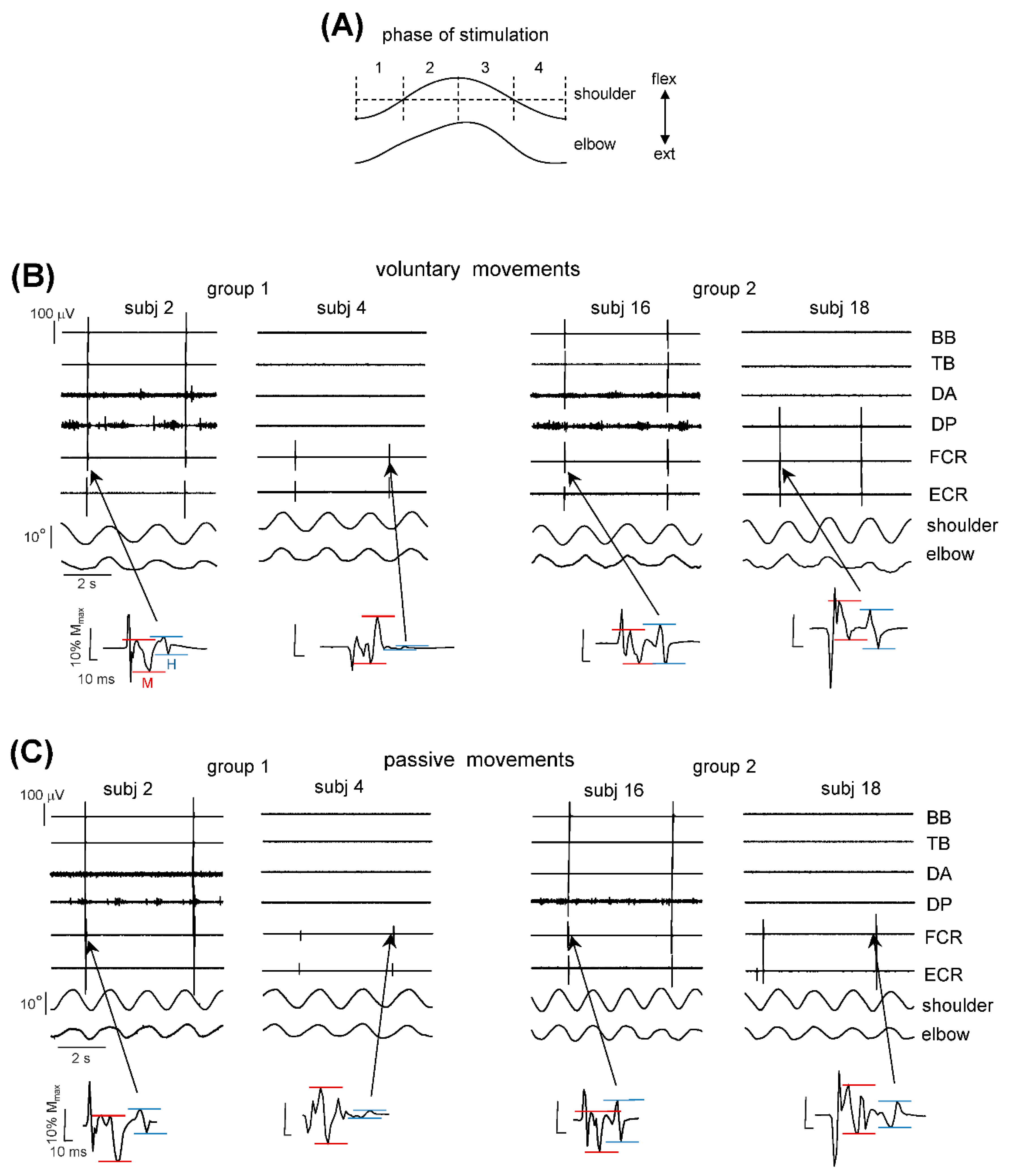 Biology 11 00707 g003 Biology 11 00707 g003