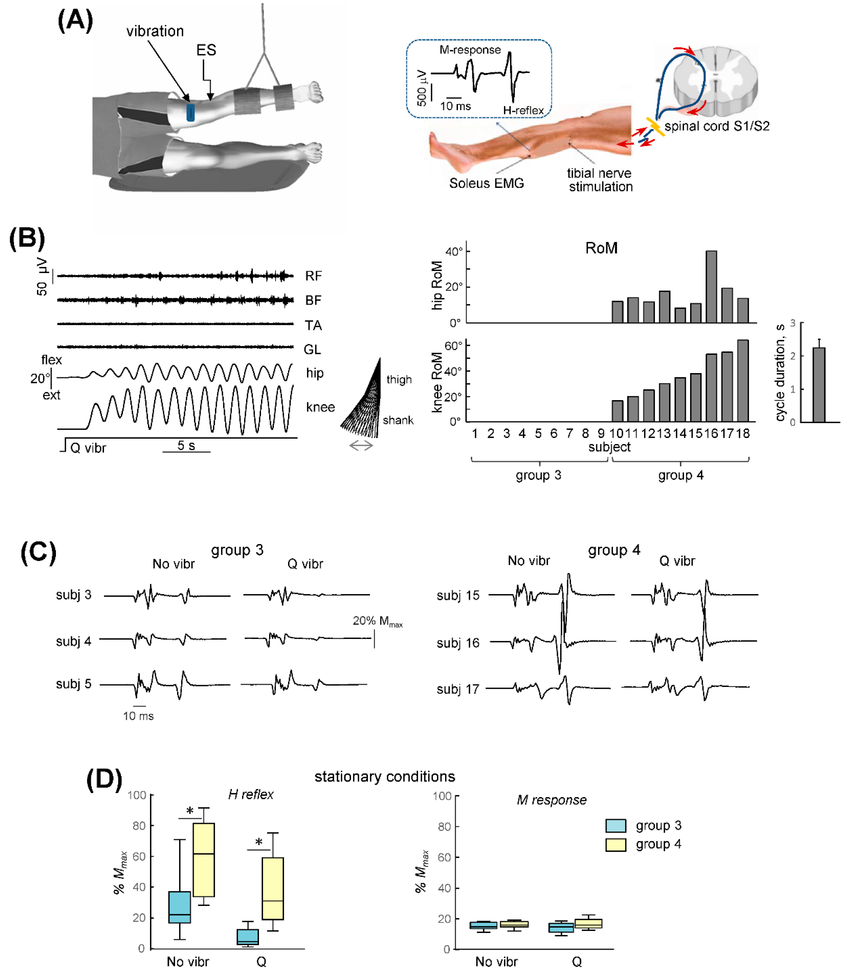 Biology 11 00707 g005 Biology 11 00707 g005