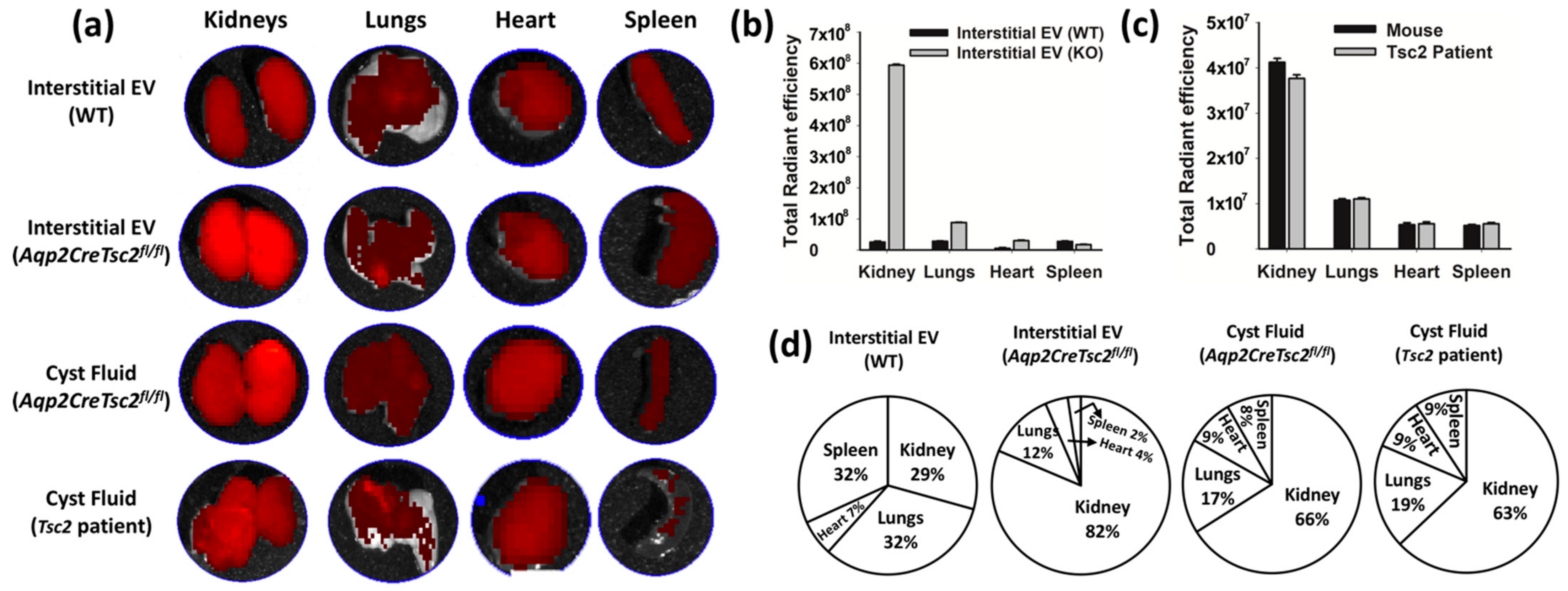 Biology 11 00709 g003
