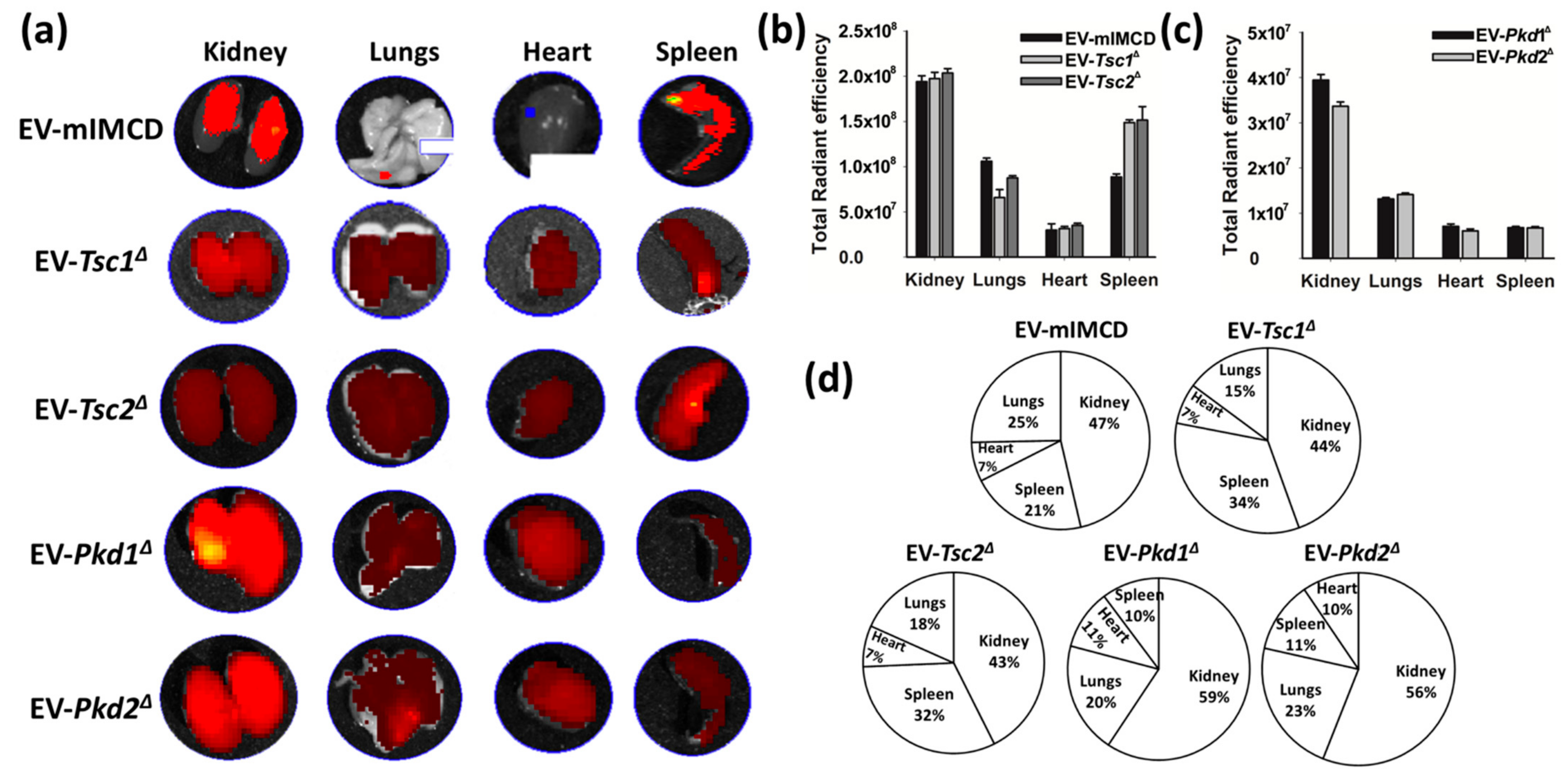 Biology 11 00709 g004