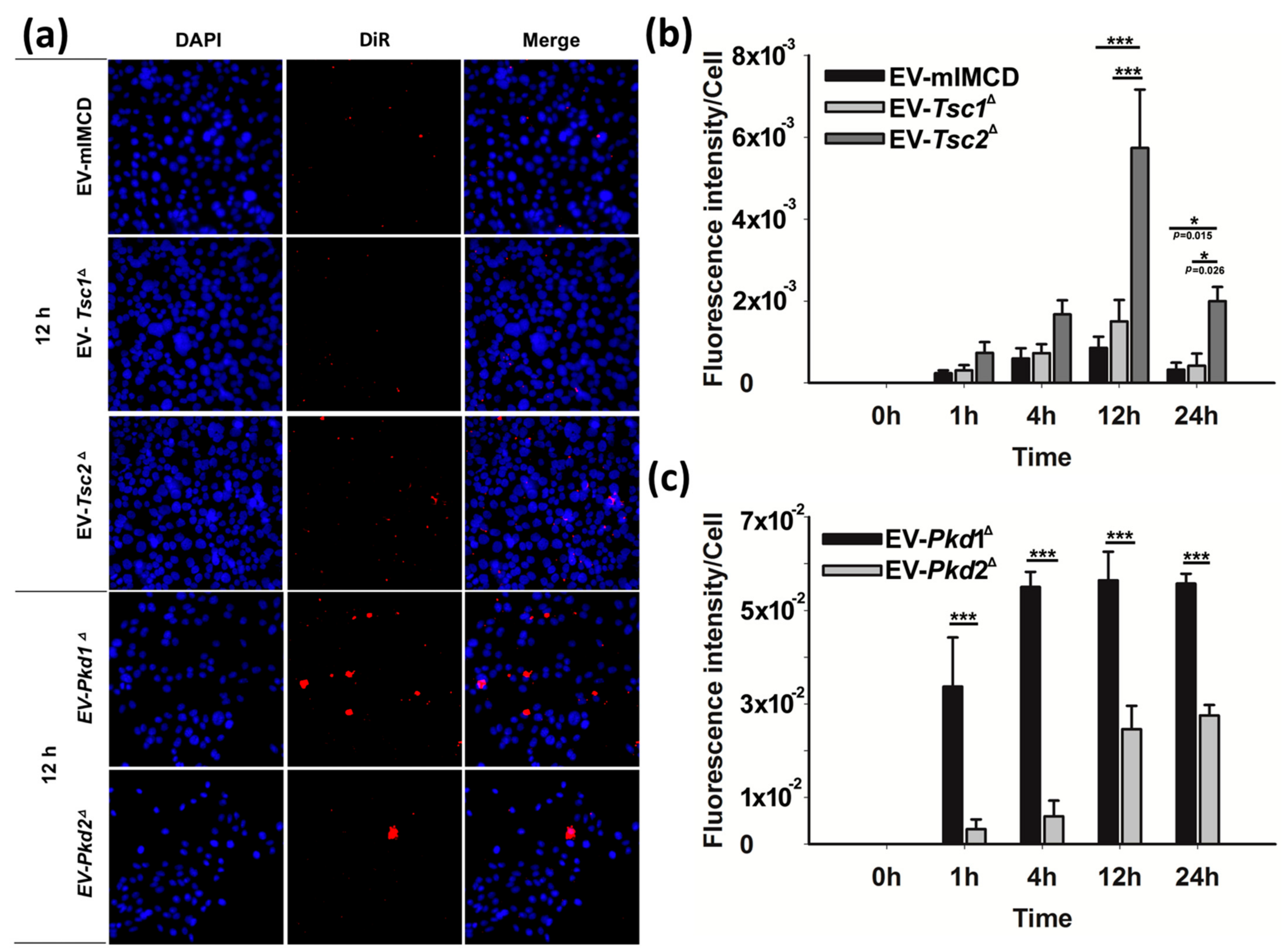 Biology 11 00709 g005