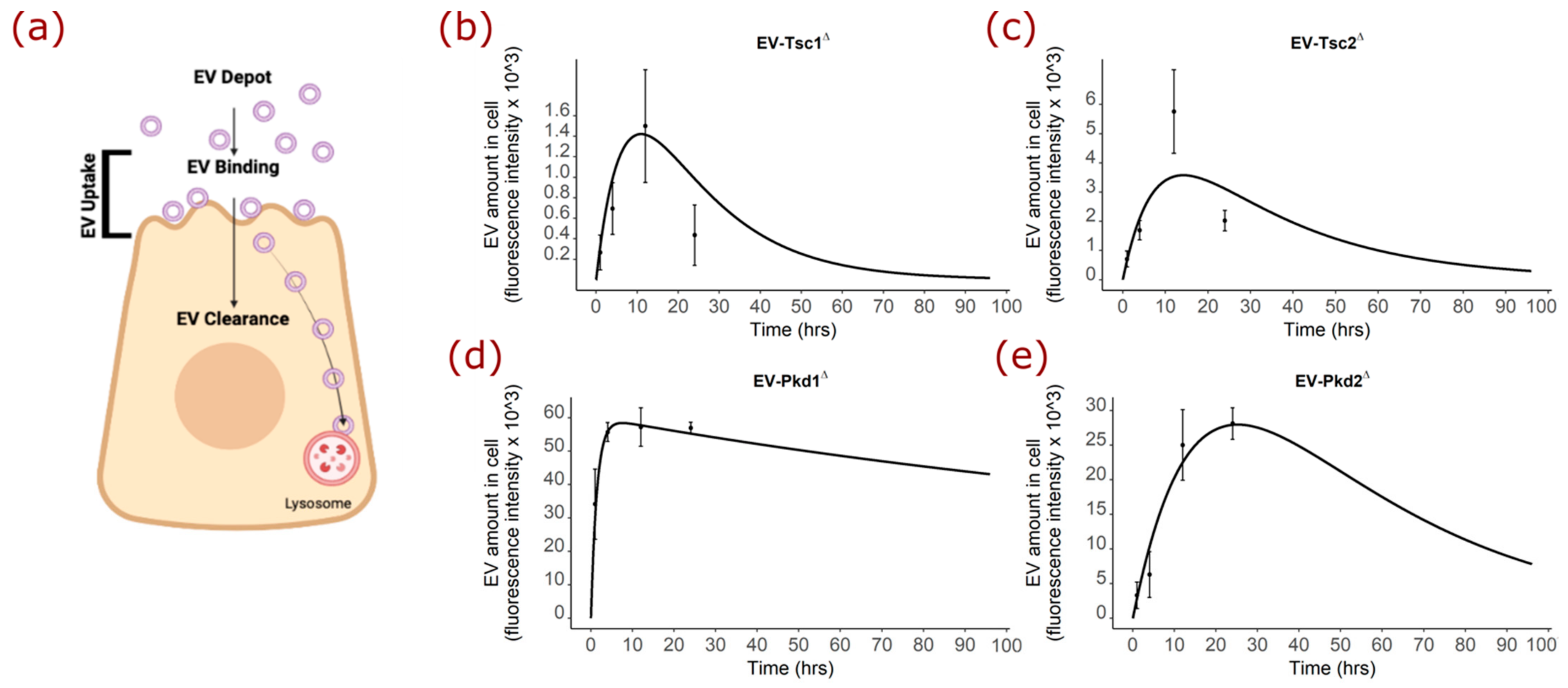 Biology 11 00709 g006