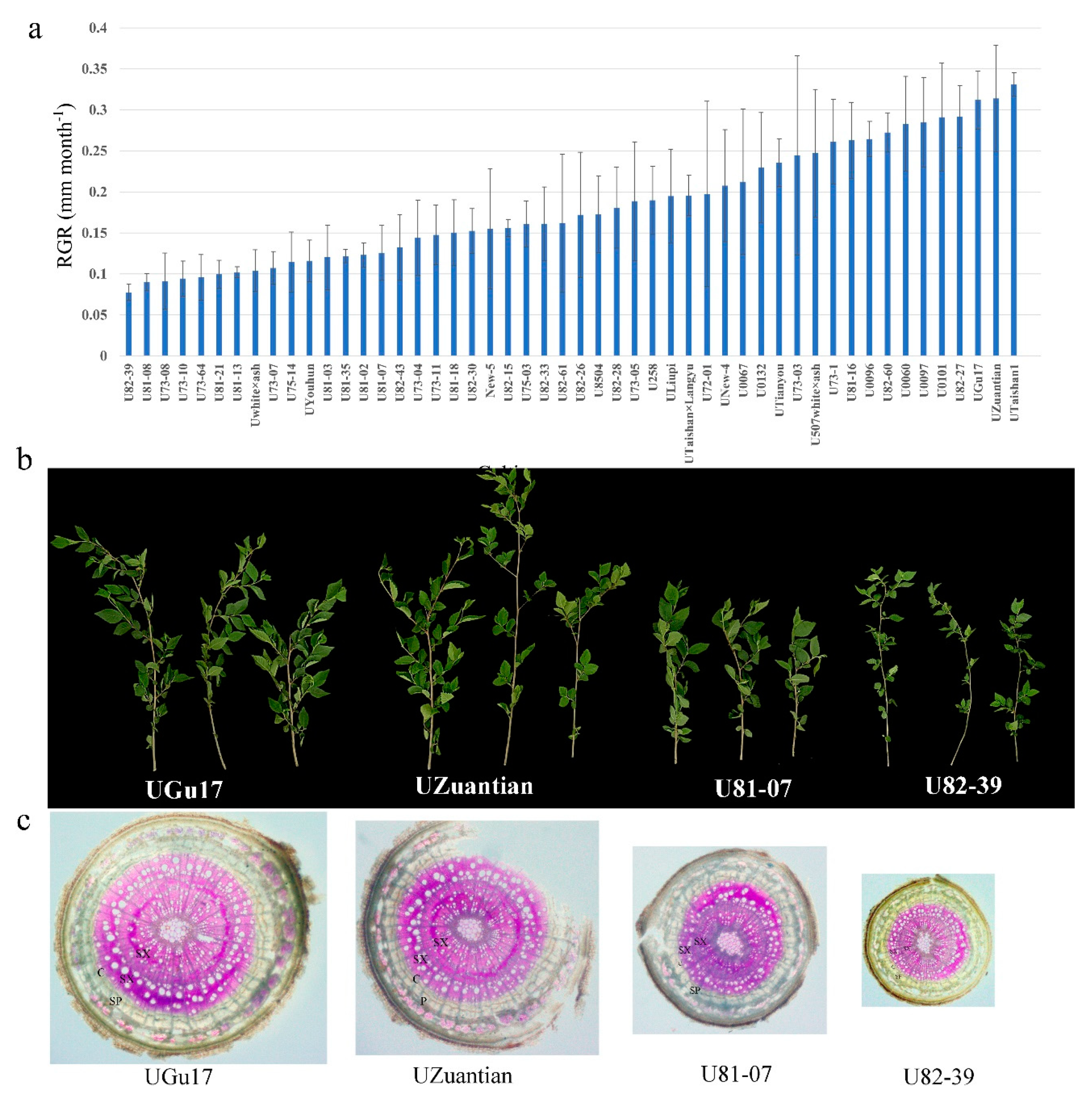 Biology 11 00711 g001