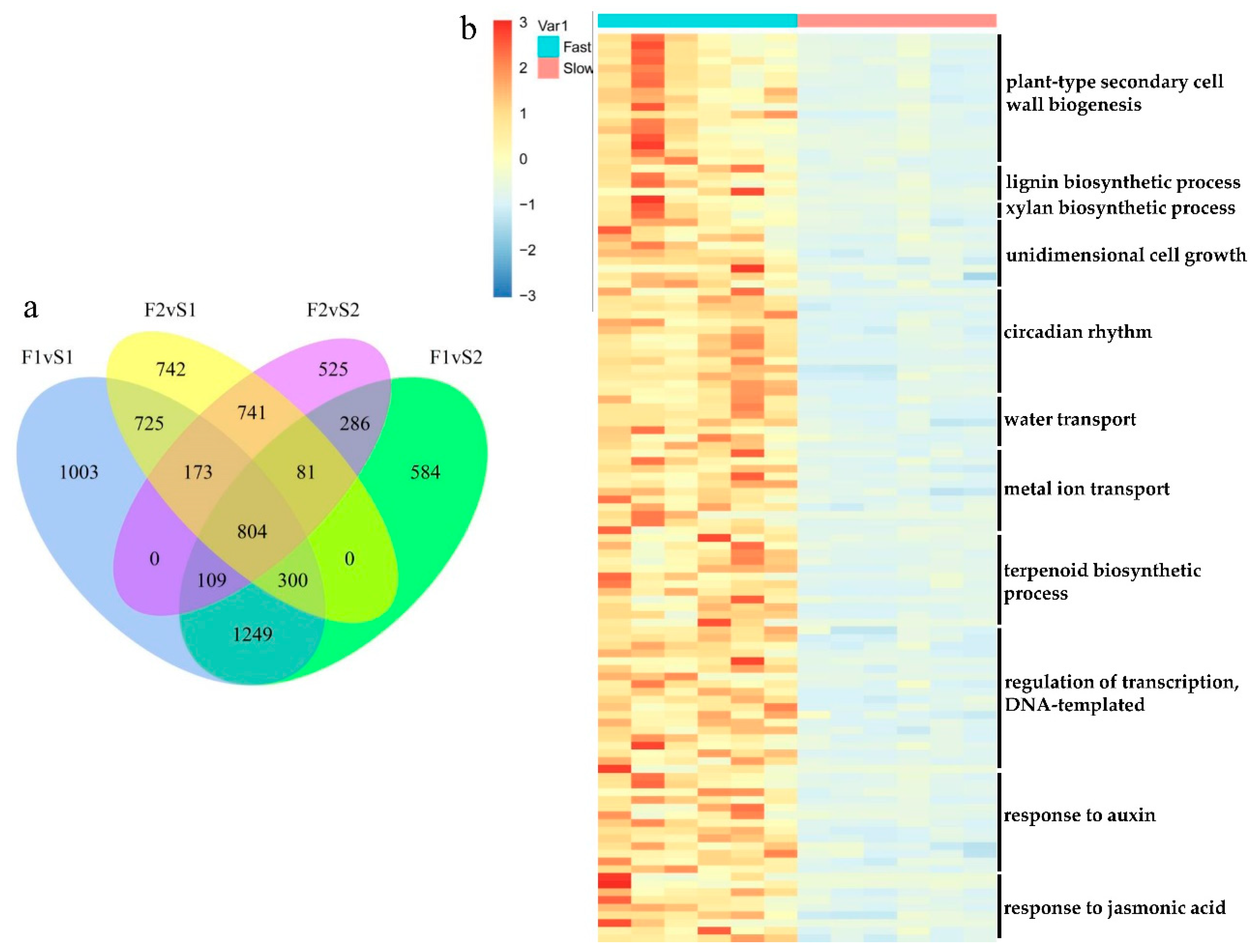 Biology 11 00711 g003