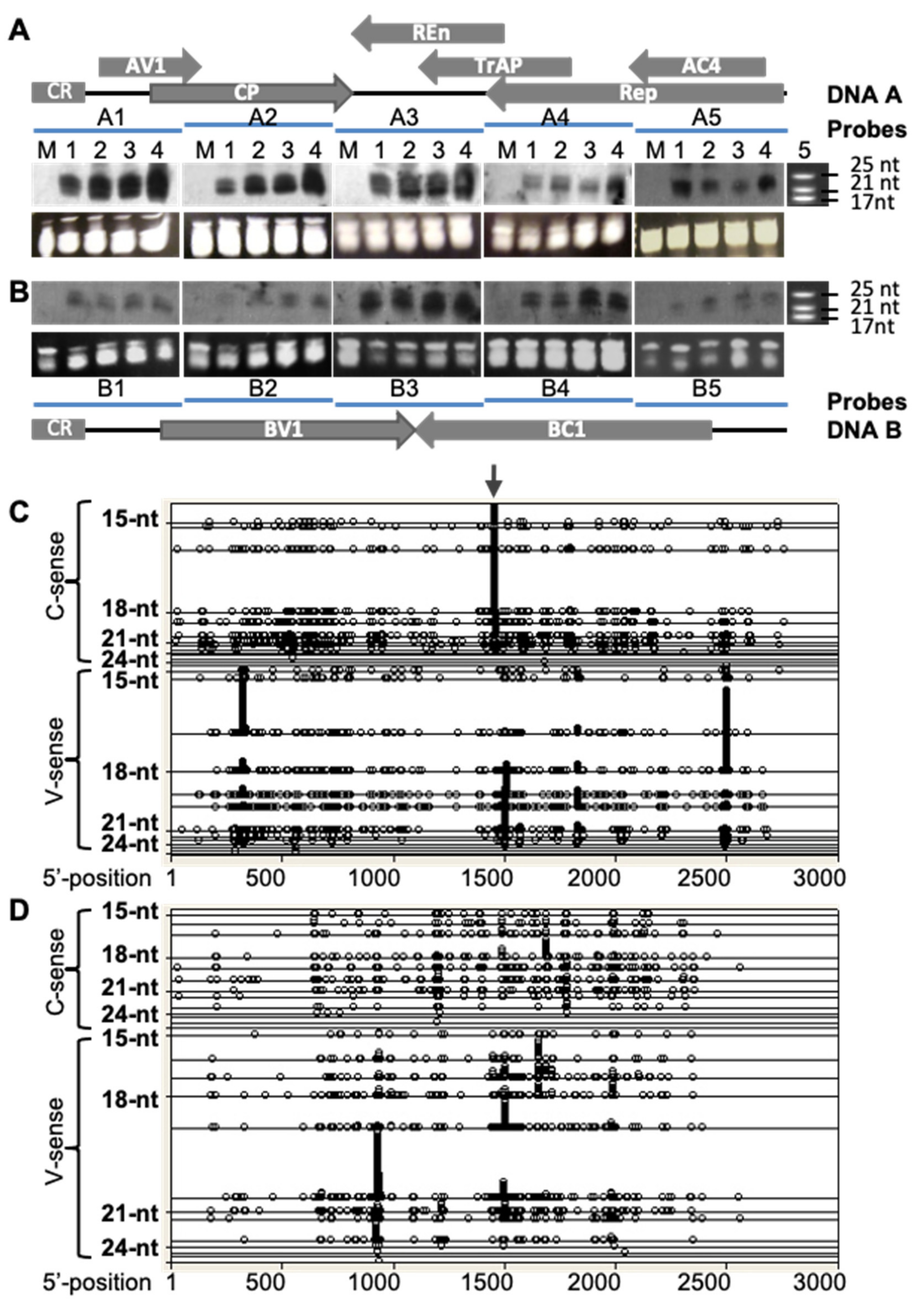Biology 11 00714 g002