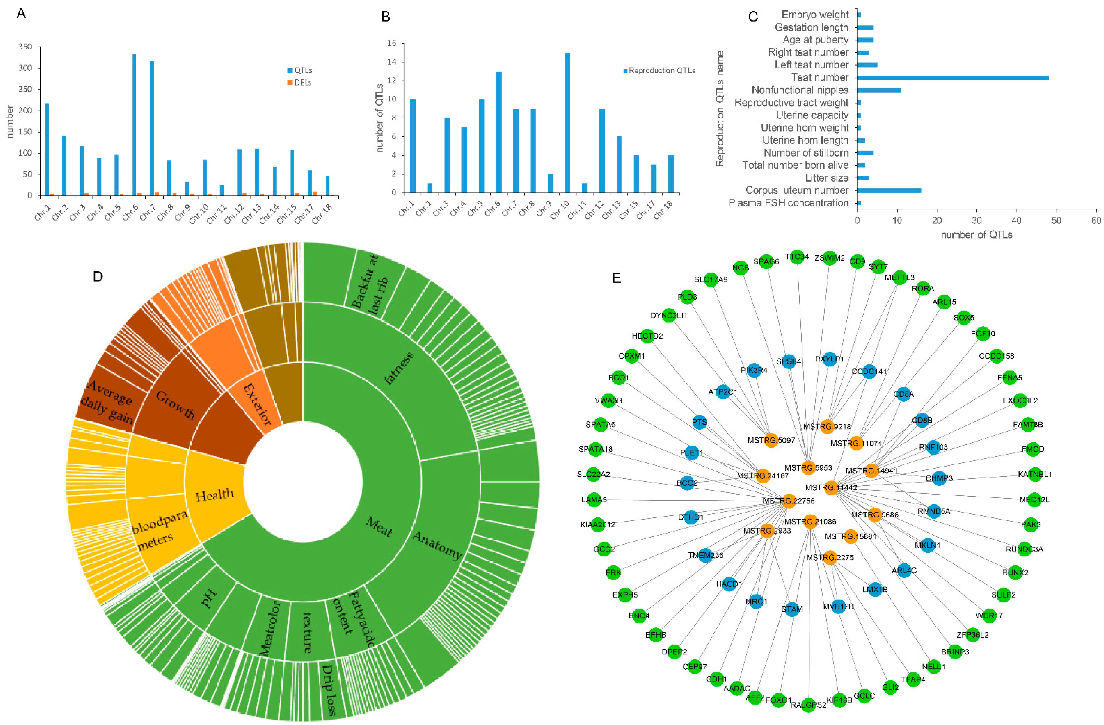Biology 11 00716 g004 Biology 11 00716 g004