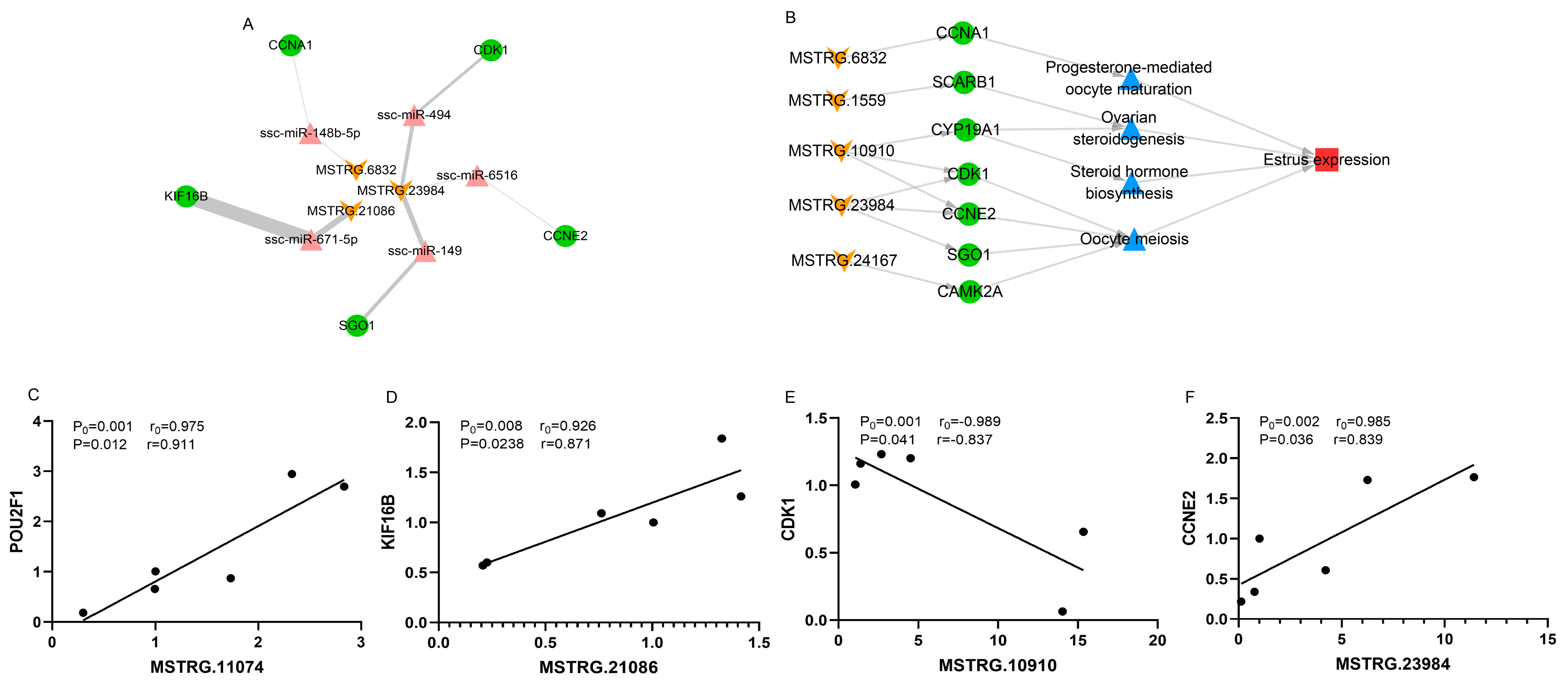 Biology 11 00716 g006 Biology 11 00716 g006