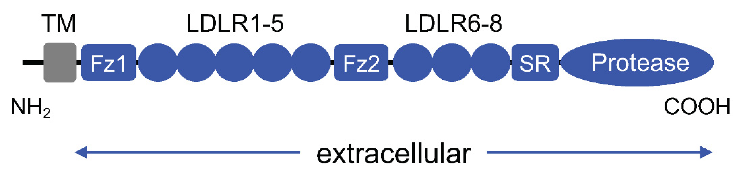 Biology 11 00717 g001