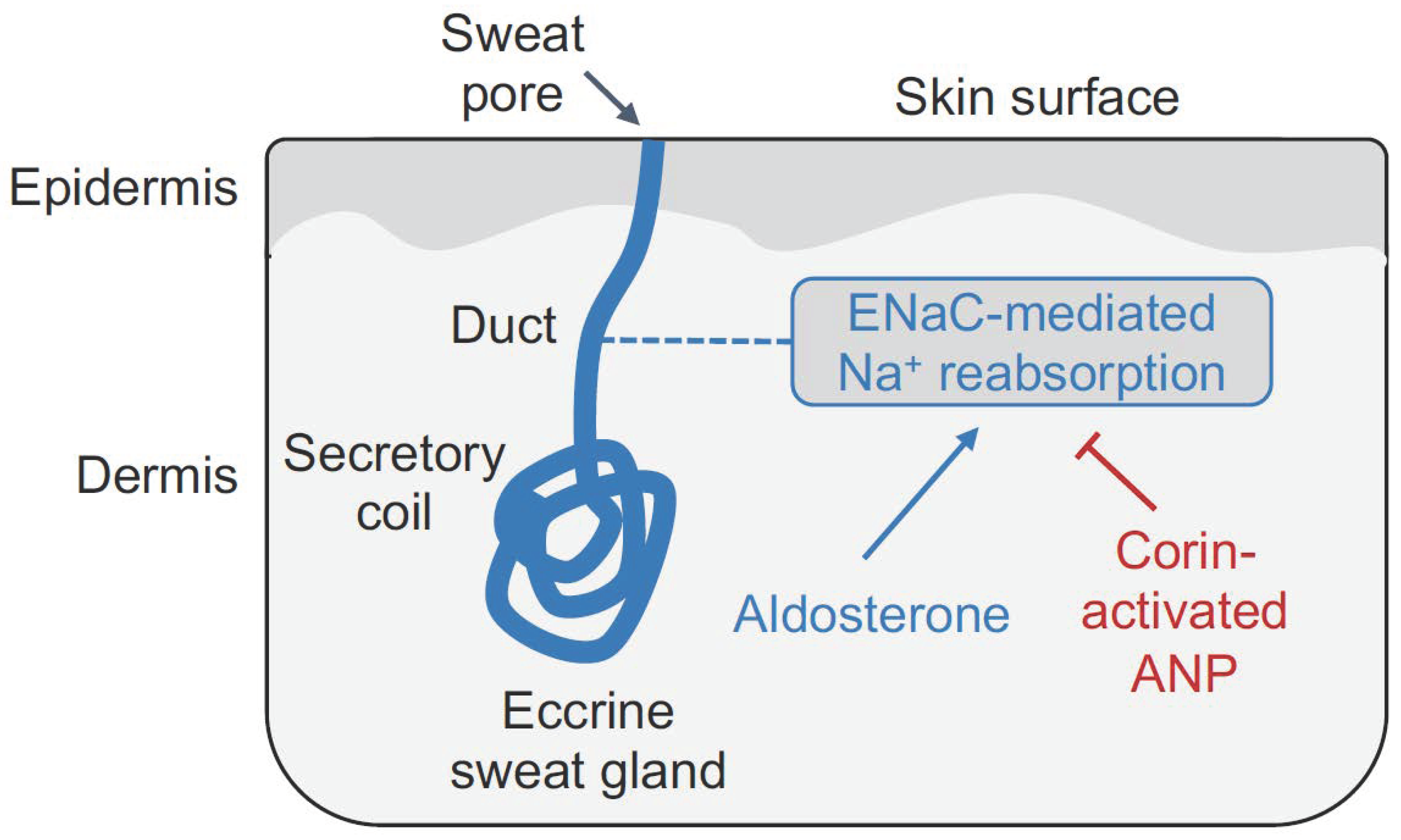 Biology 11 00717 g003
