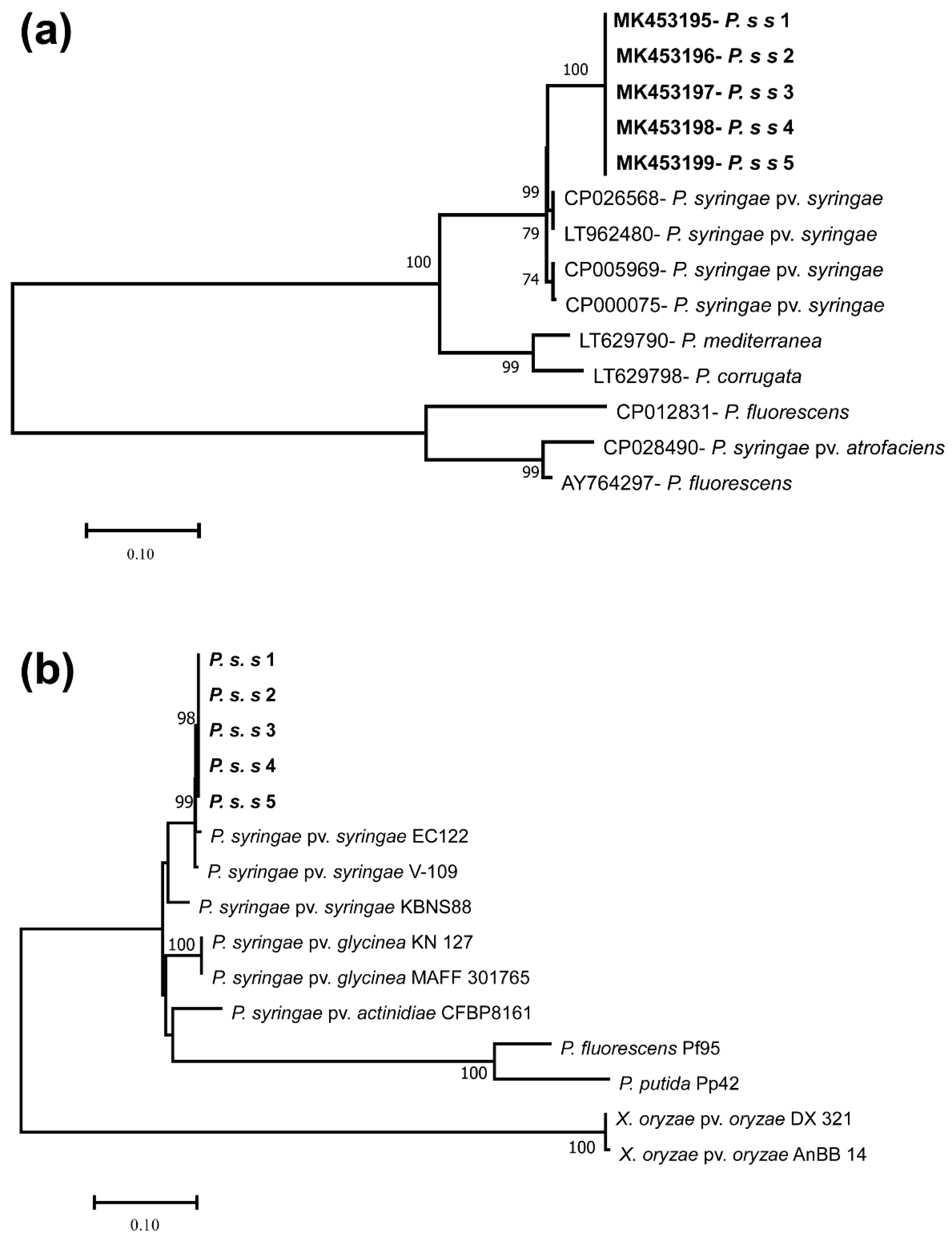 Biology 11 00720 g002