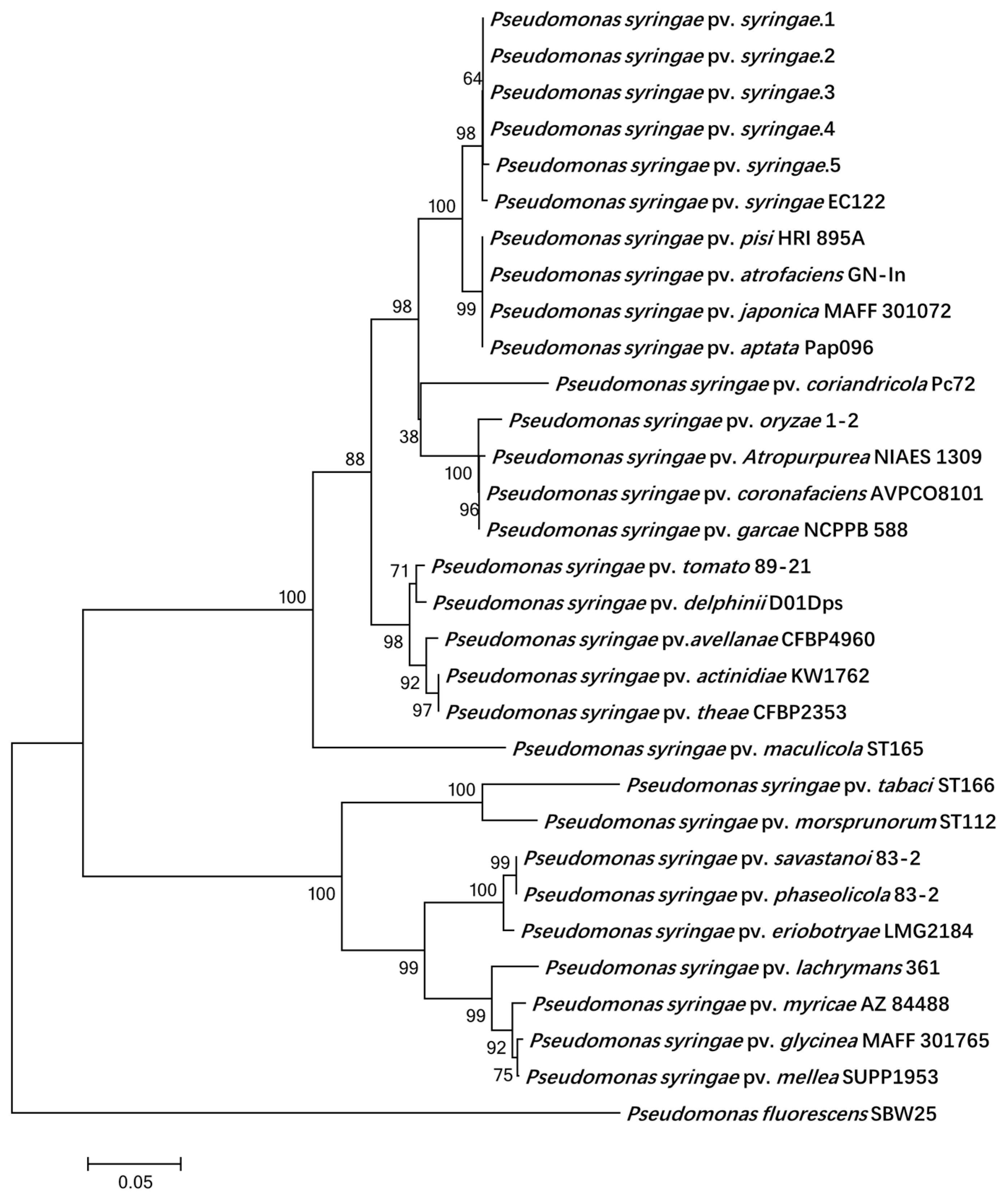 Biology 11 00720 g003