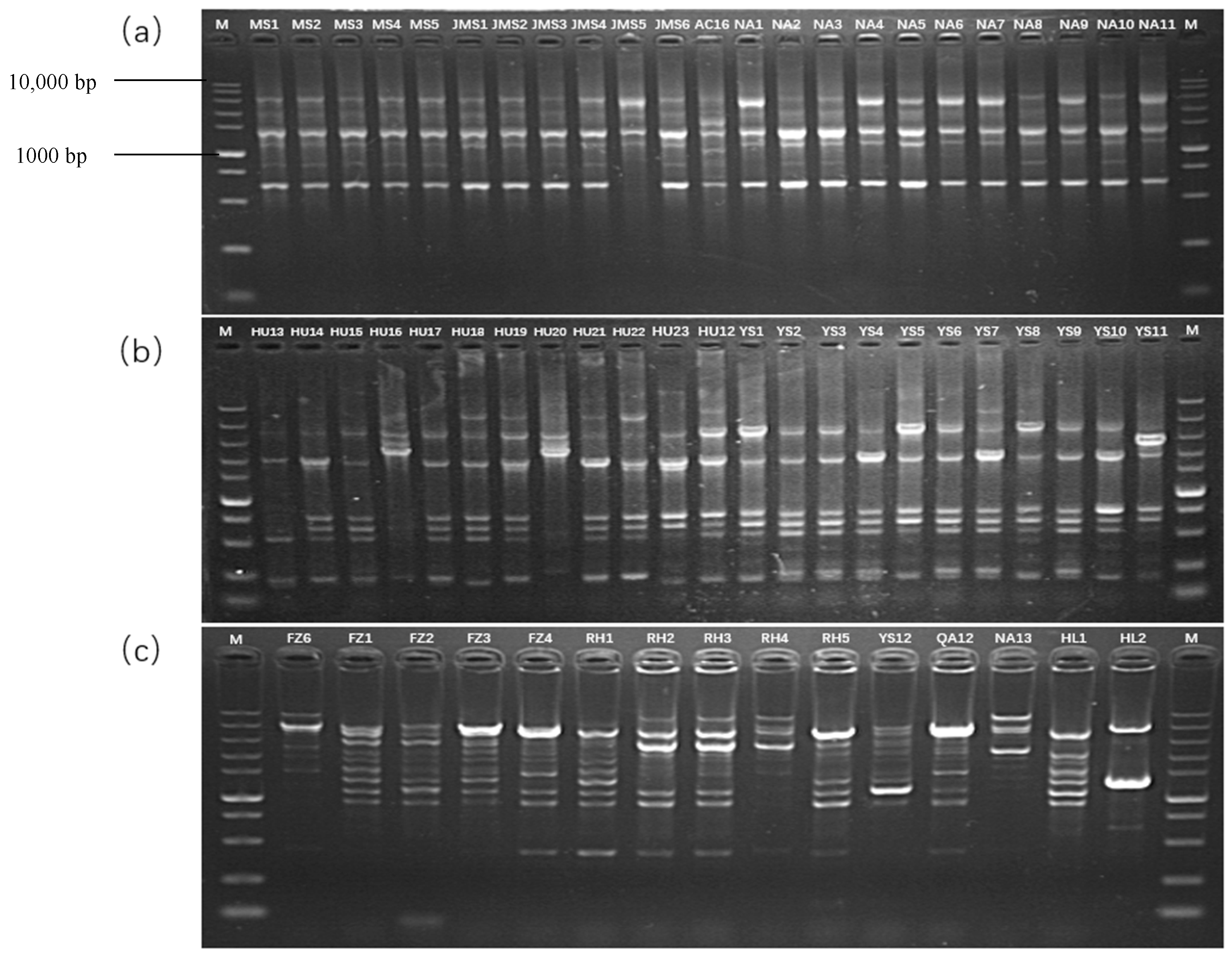 Biology 11 00720 g004