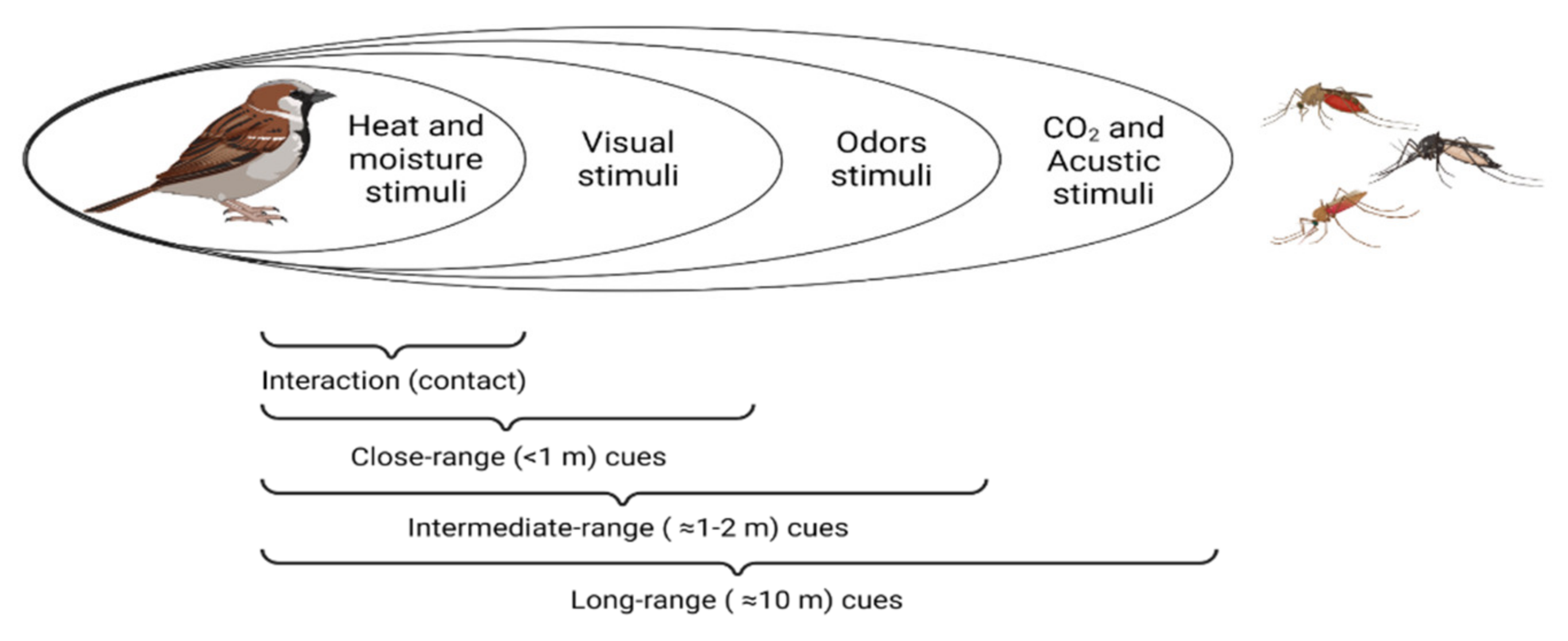 Biology 11 00726 g001 Biology 11 00726 g001
