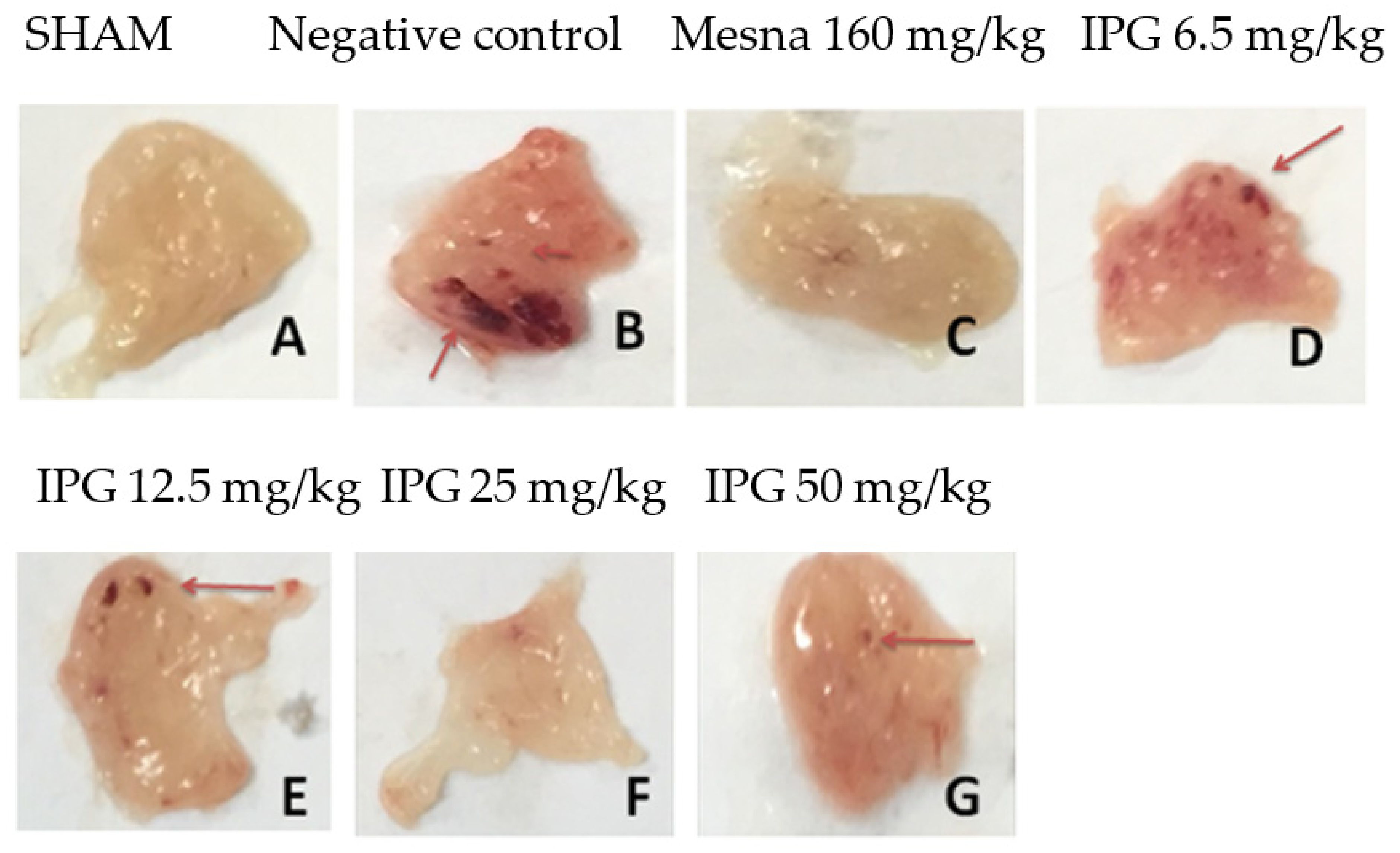 Biology 11 00728 g003