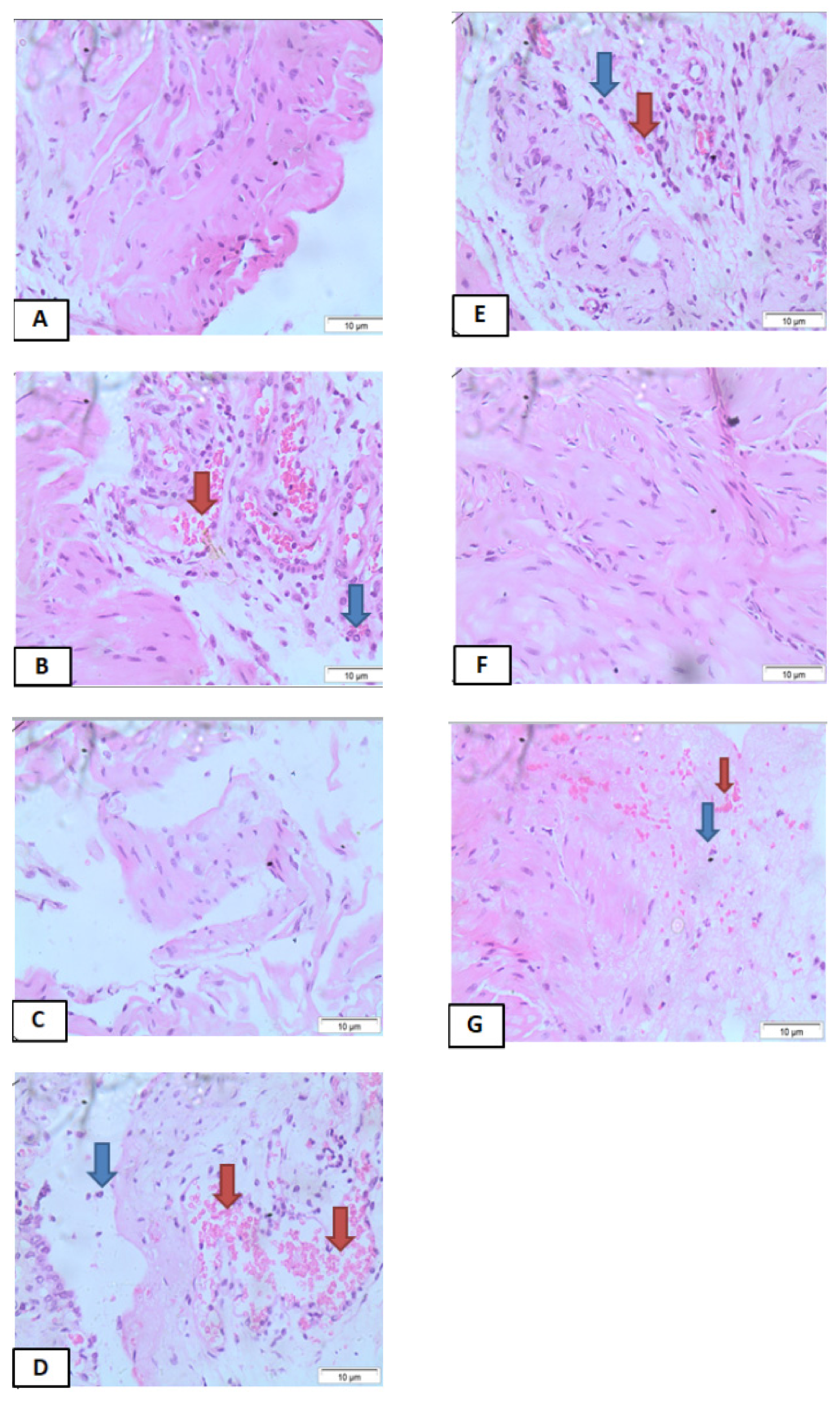 Biology 11 00728 g004