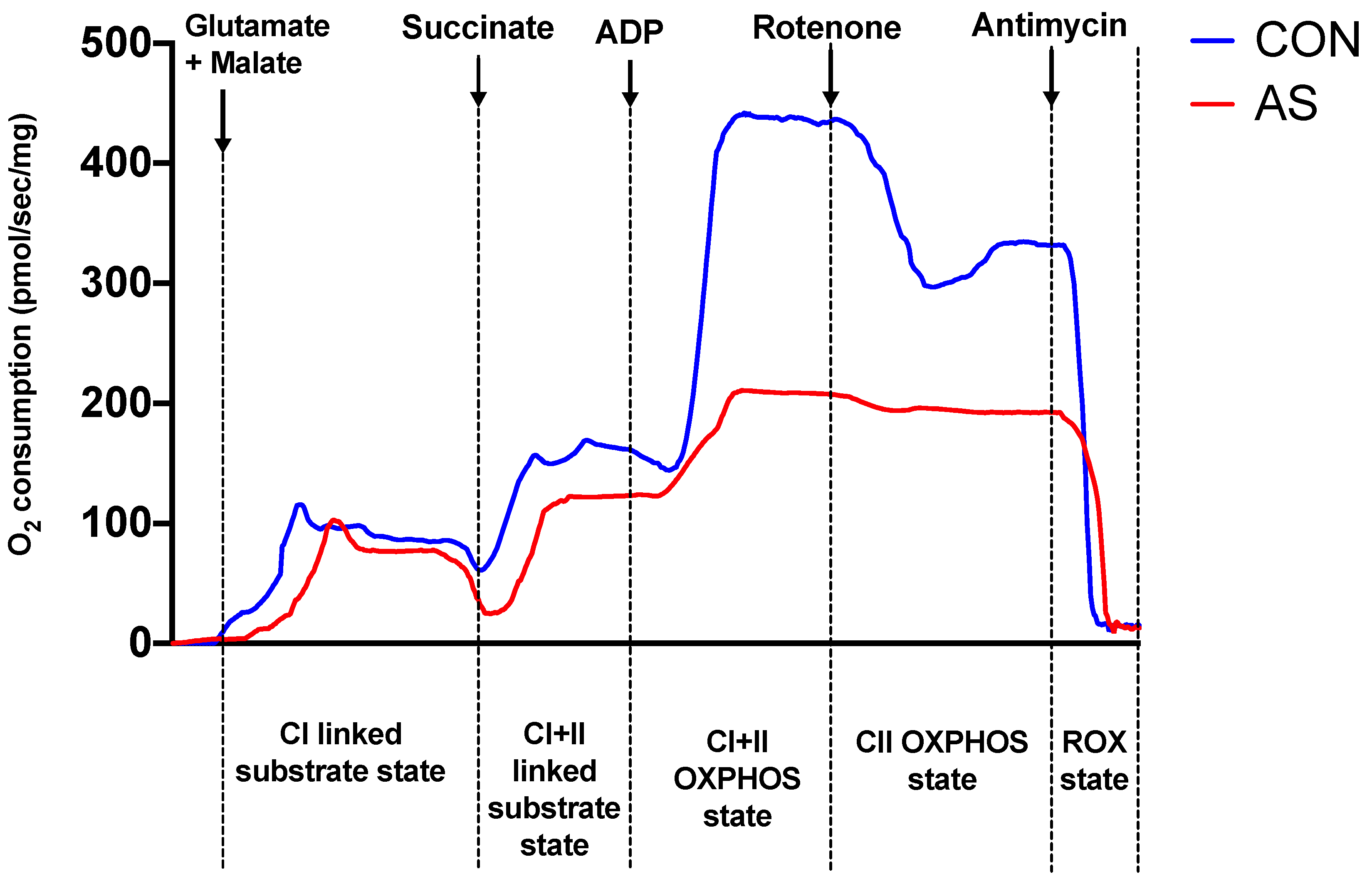 Biology 11 00730 g003 Biology 11 00730 g003