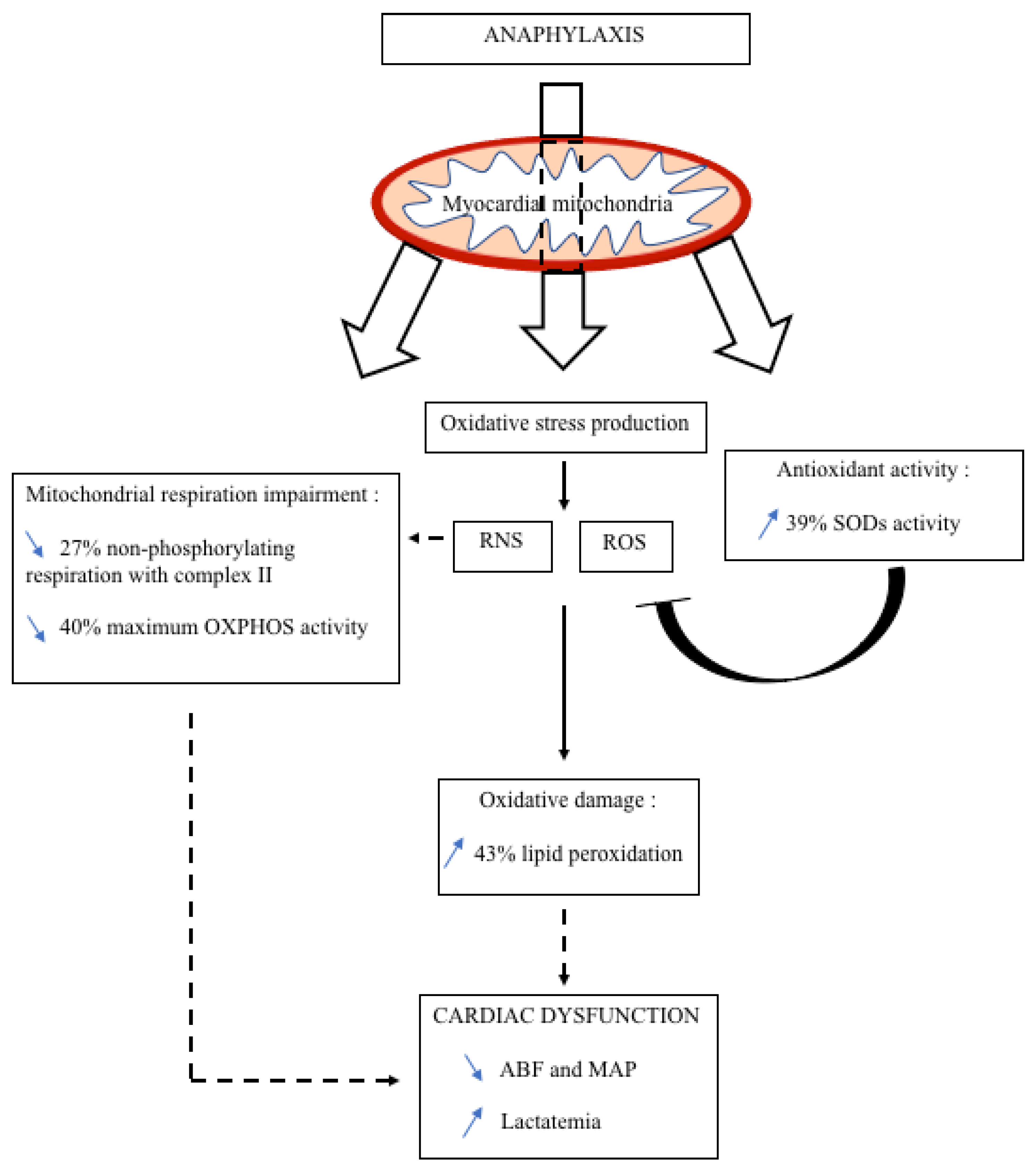 Biology 11 00730 g006 Biology 11 00730 g006