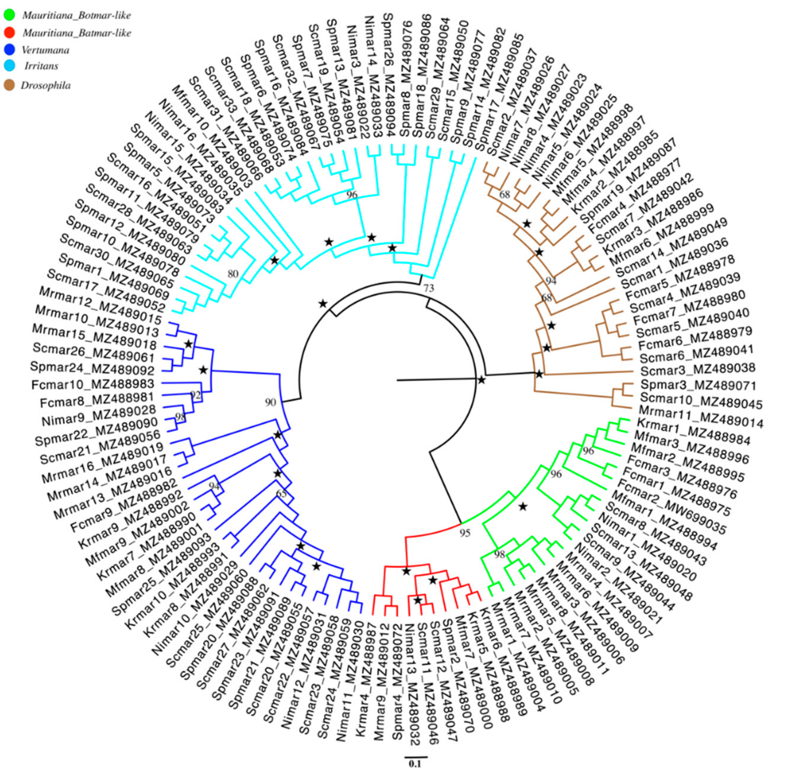 Biology 11 00731 g001 Biology 11 00731 g001