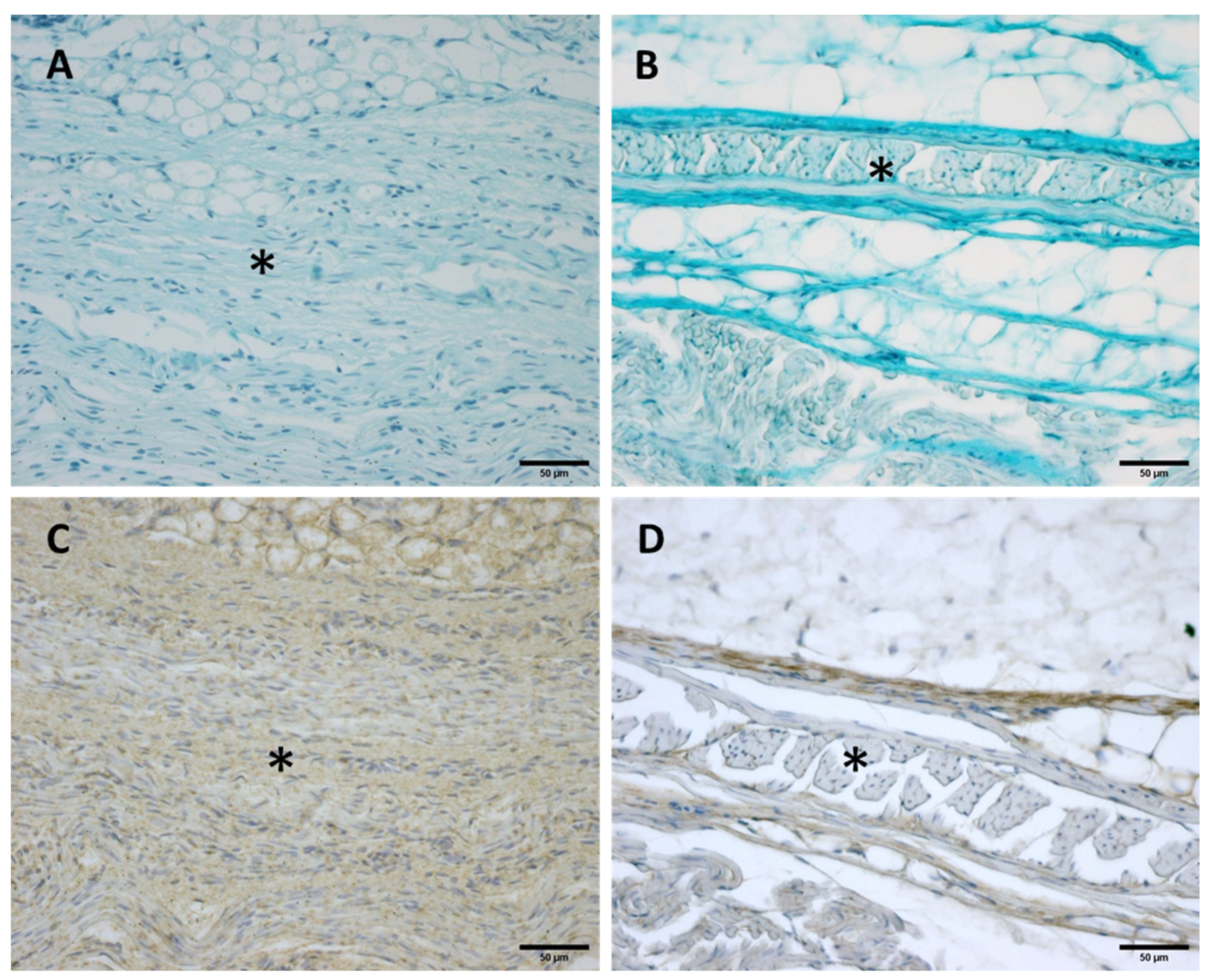Biology 11 00735 g008