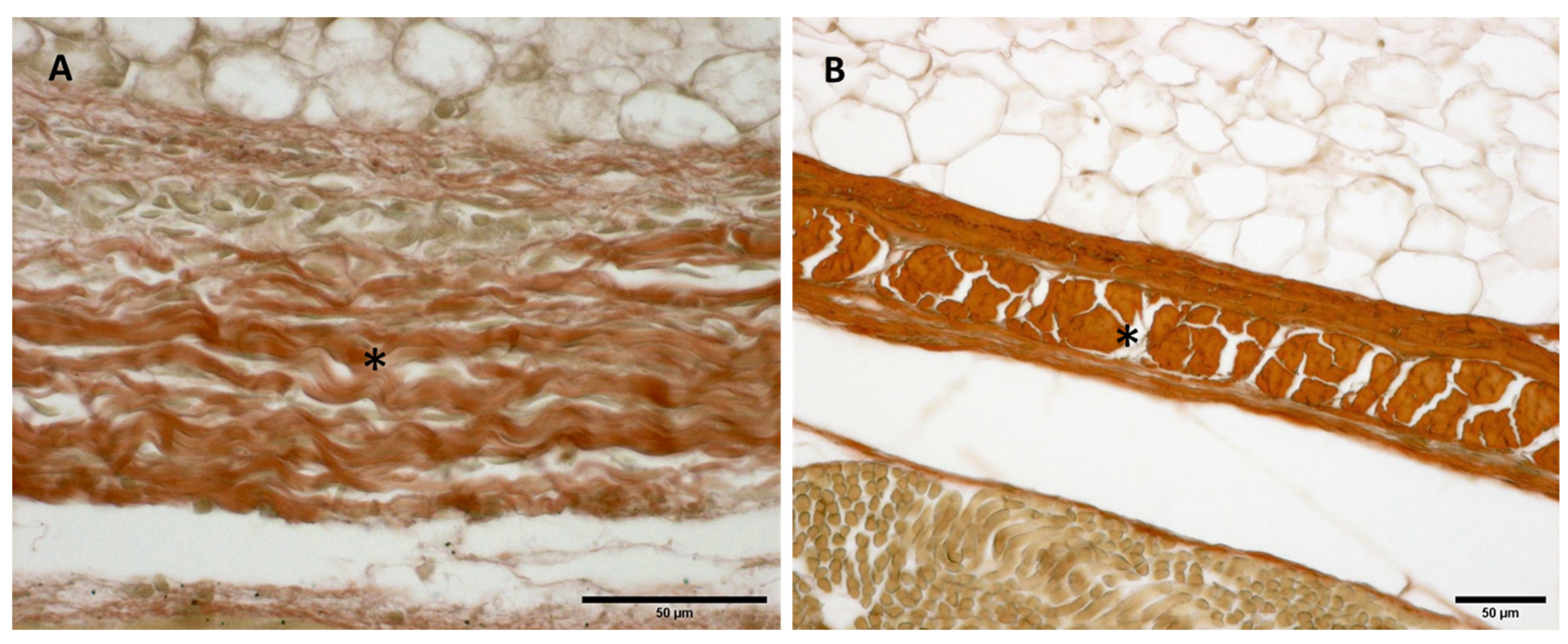 Biology 11 00735 g009
