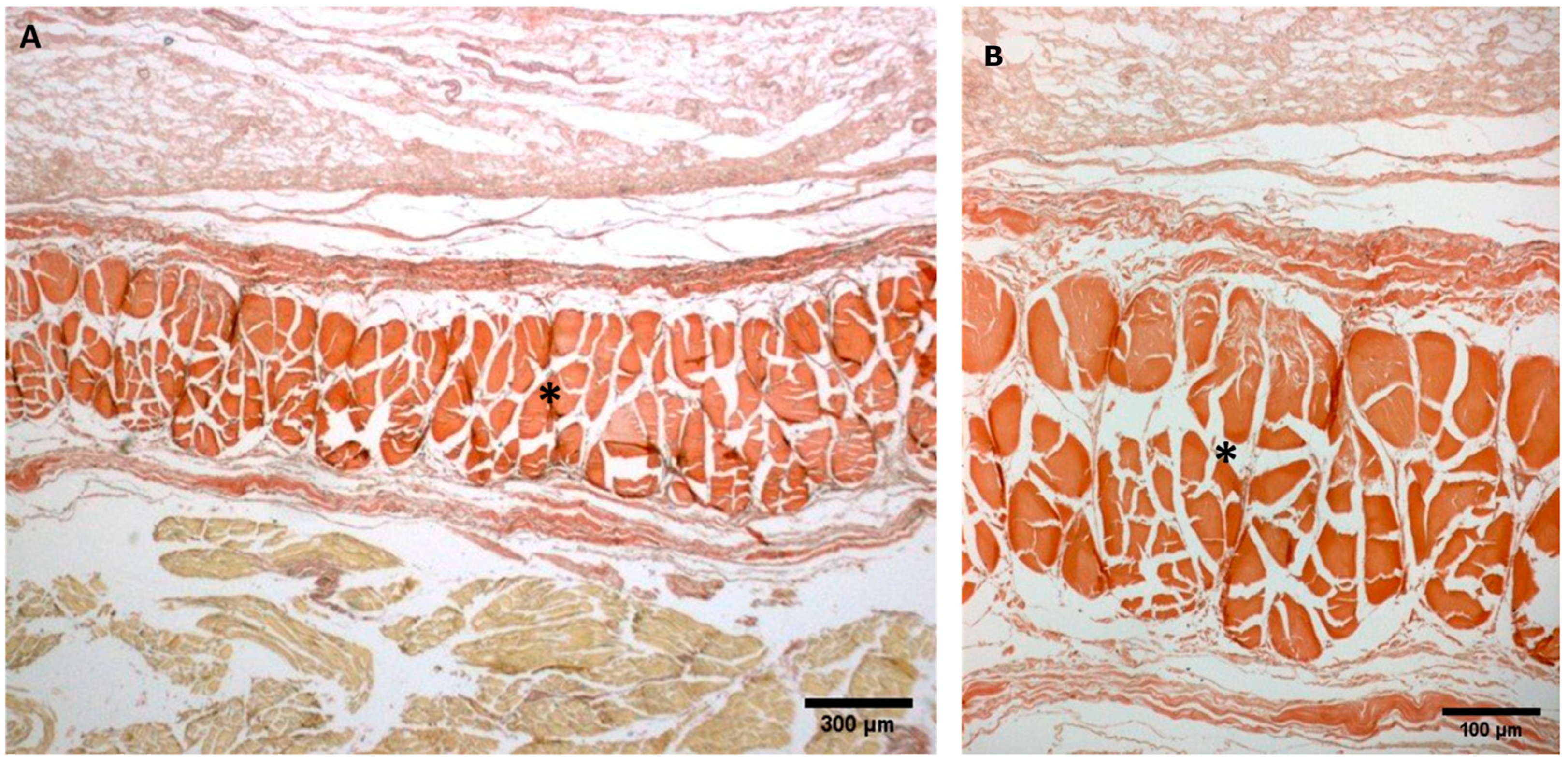 Biology 11 00735 g0a1