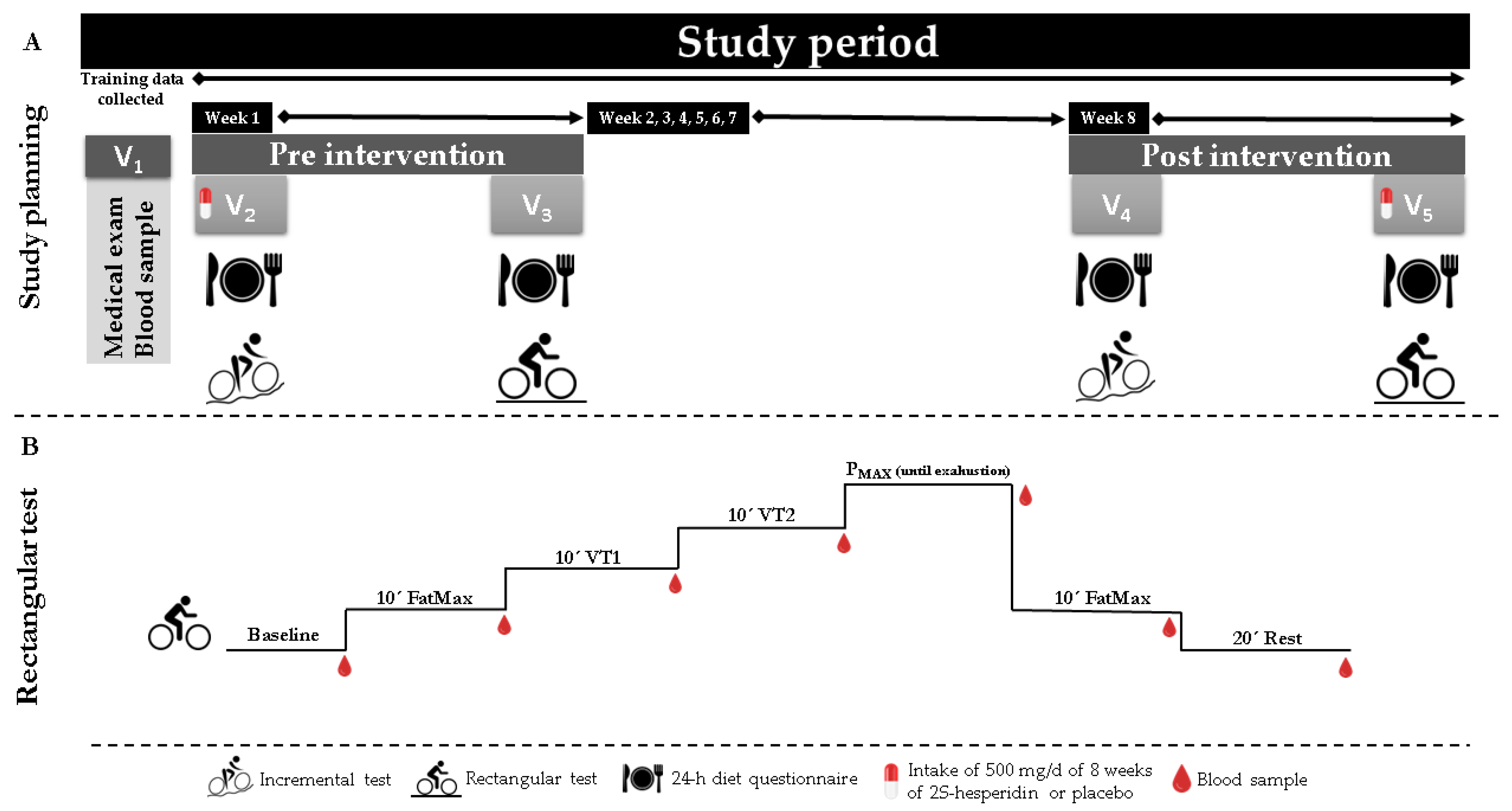 Biology Free Full-Text Chronic Supplementation of 2S-Hesperidin Improves Acid-Base Status and Decreases Lactate at FatMax, at Ventilatory Threshold 1 and 2 and after an Incremental Test in Amateur Cyclists