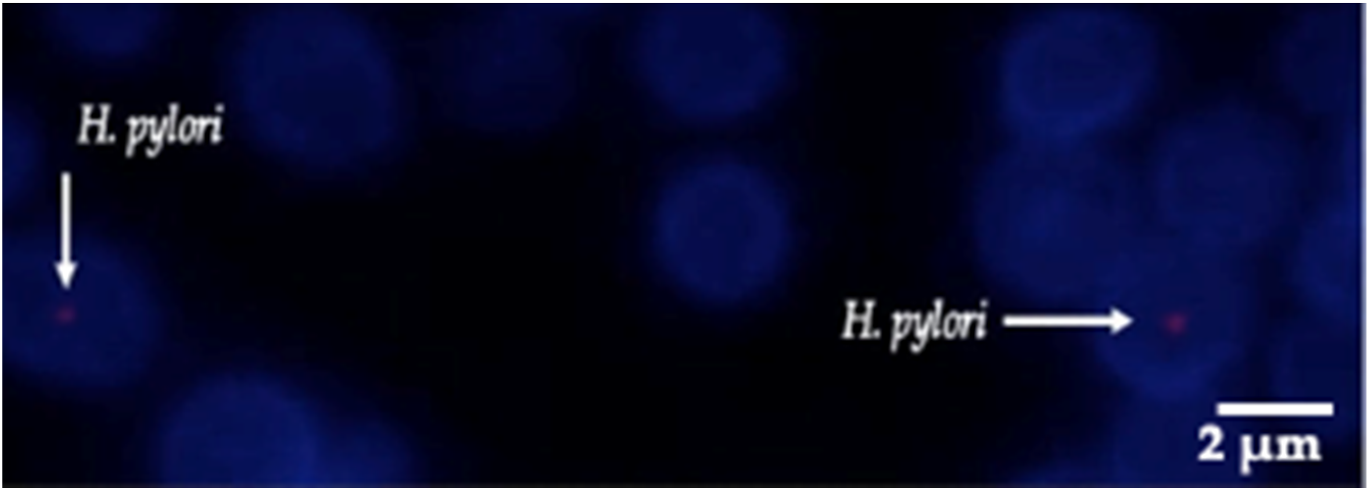 Biology 11 00738 g008 Biology 11 00738 g008