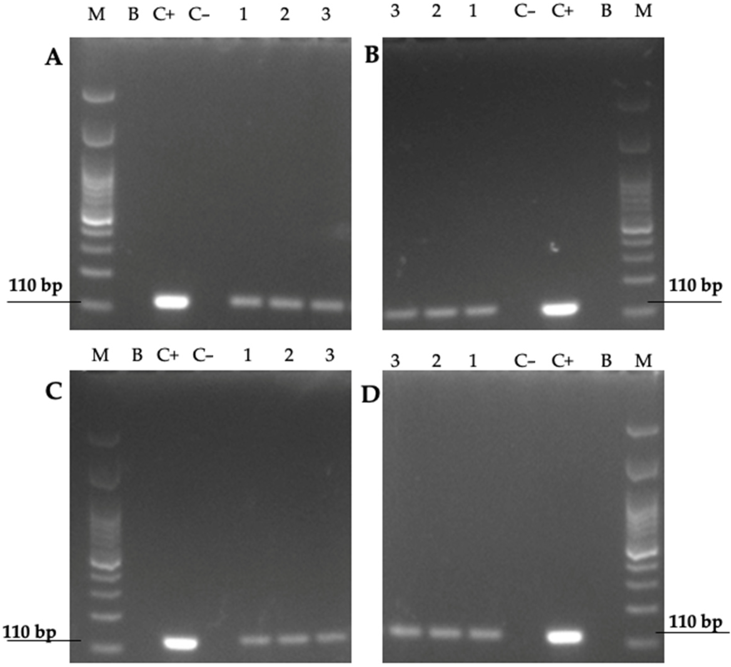 Biology 11 00738 g009 Biology 11 00738 g009