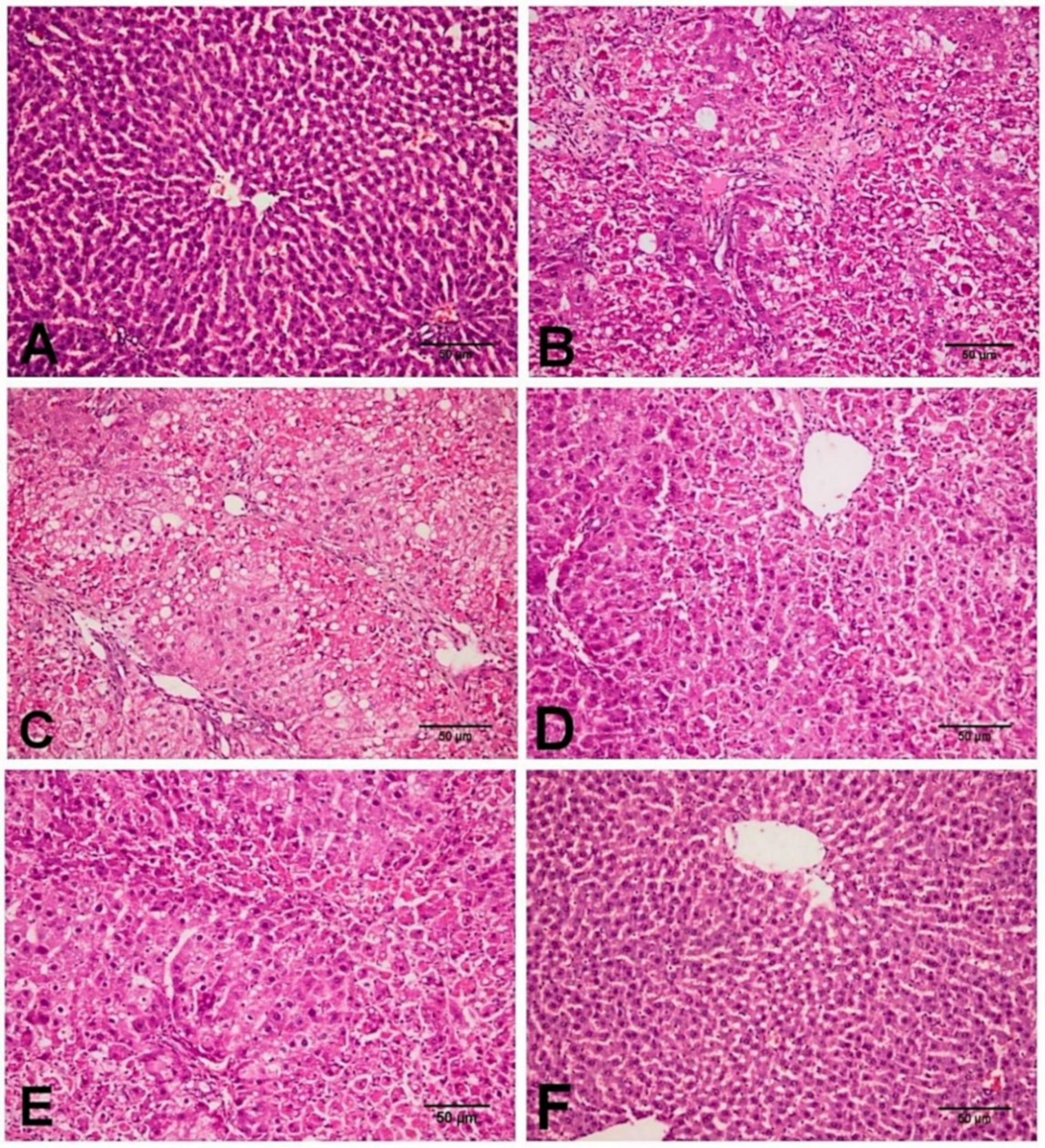 Biology 11 00739 g002