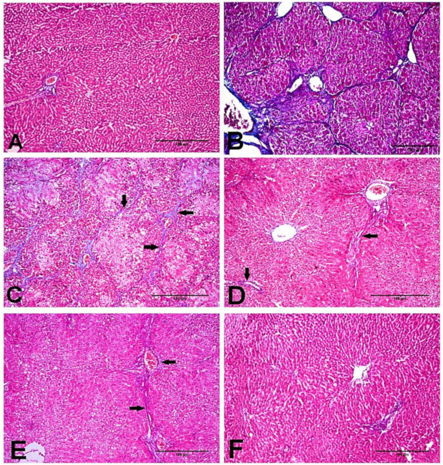 Biology 11 00739 g003