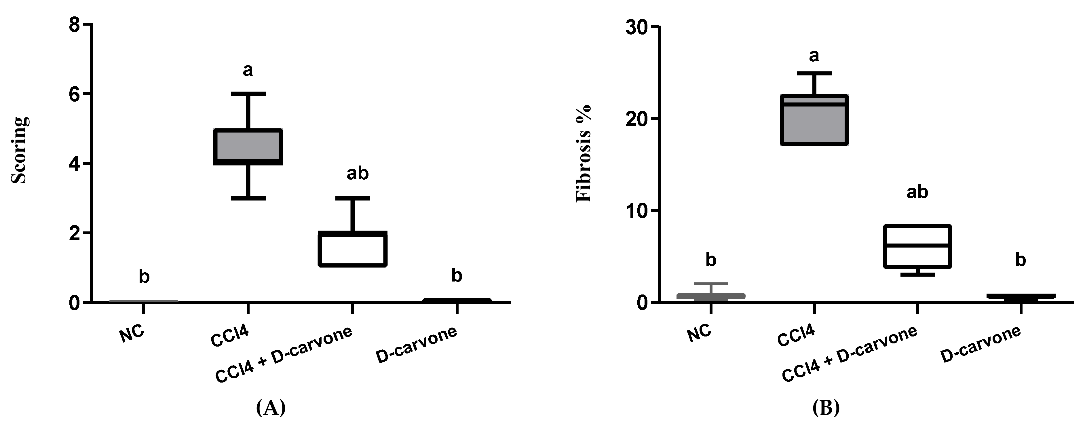 Biology 11 00739 g004