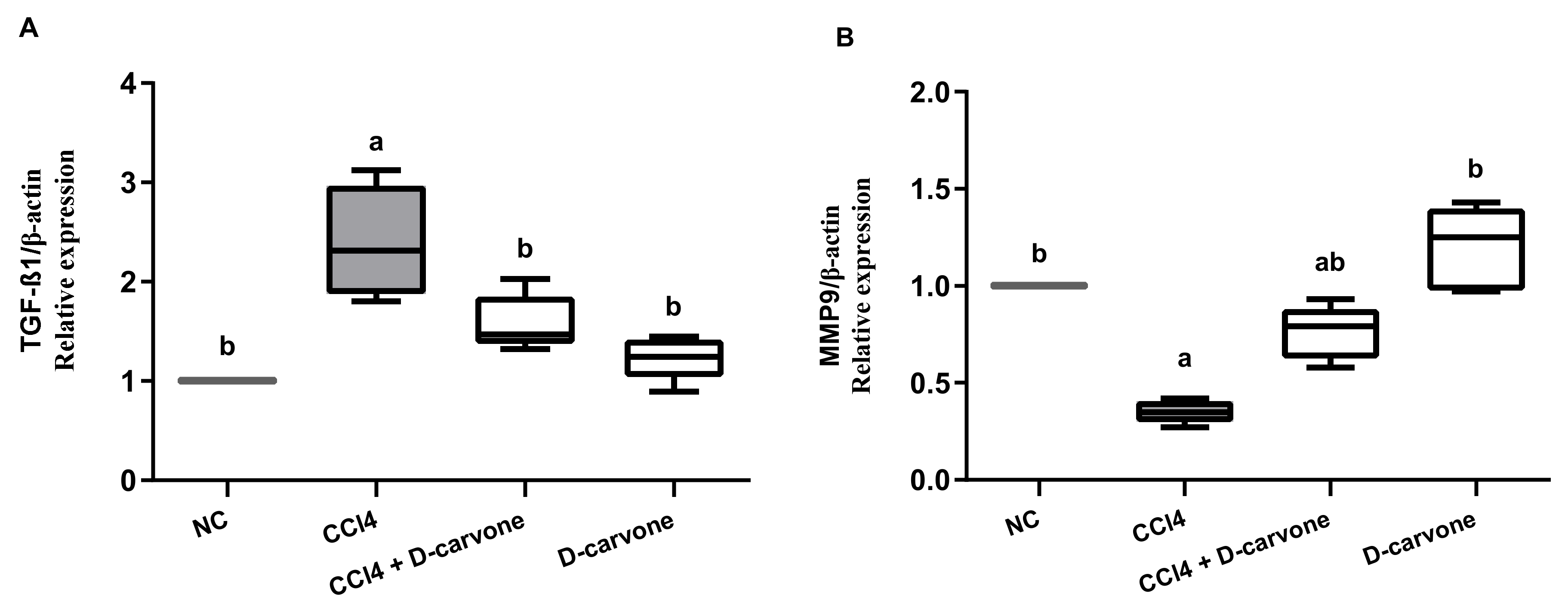Biology 11 00739 g005