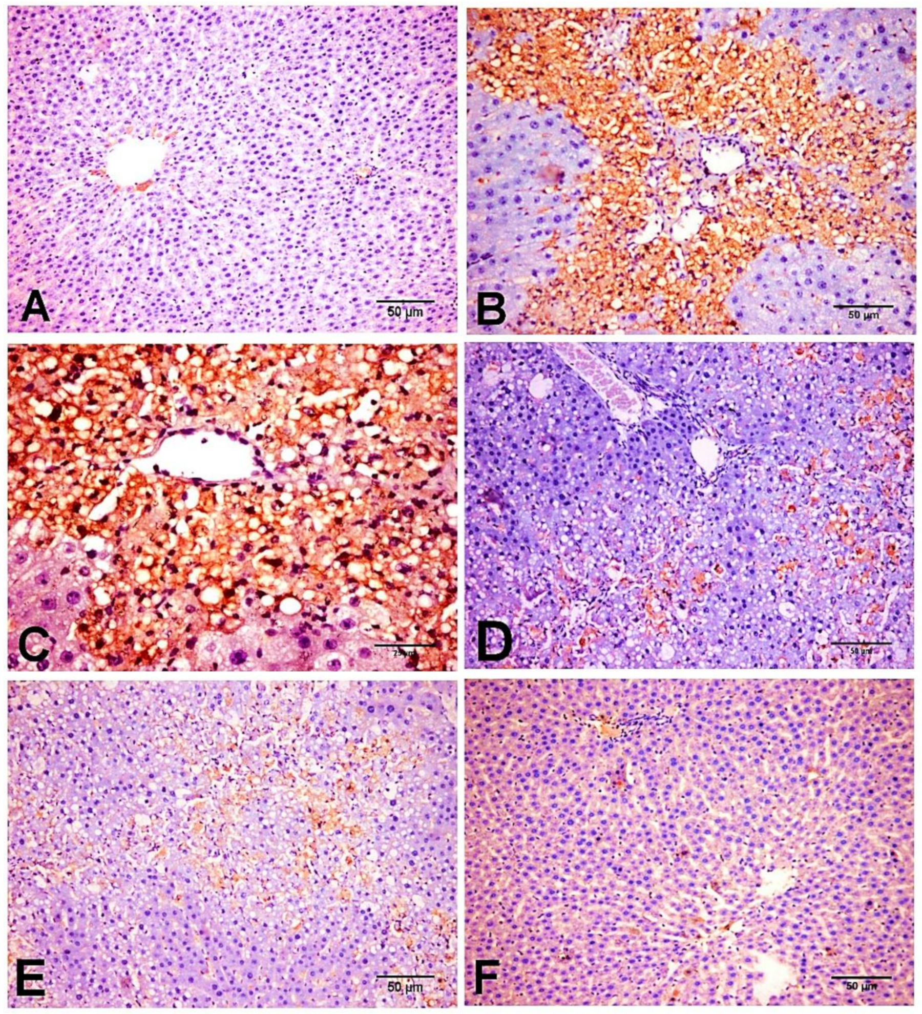 Biology 11 00739 g007