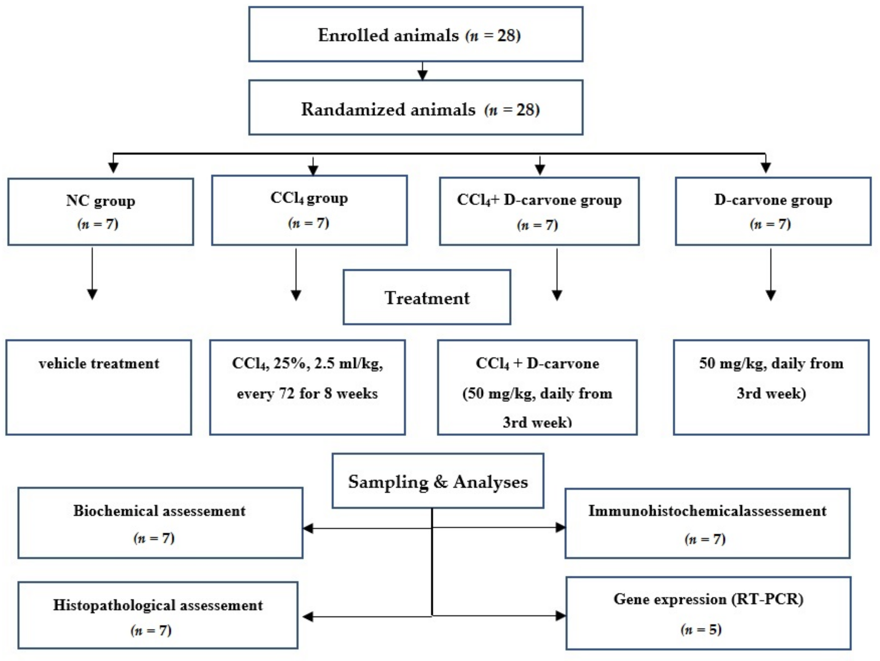 Biology 11 00739 g010