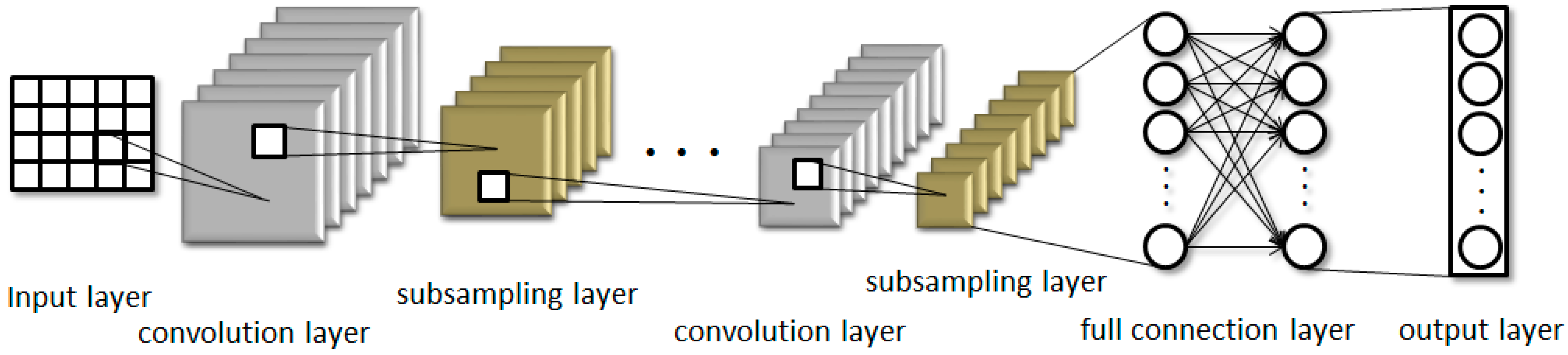 Biology 11 00740 g001