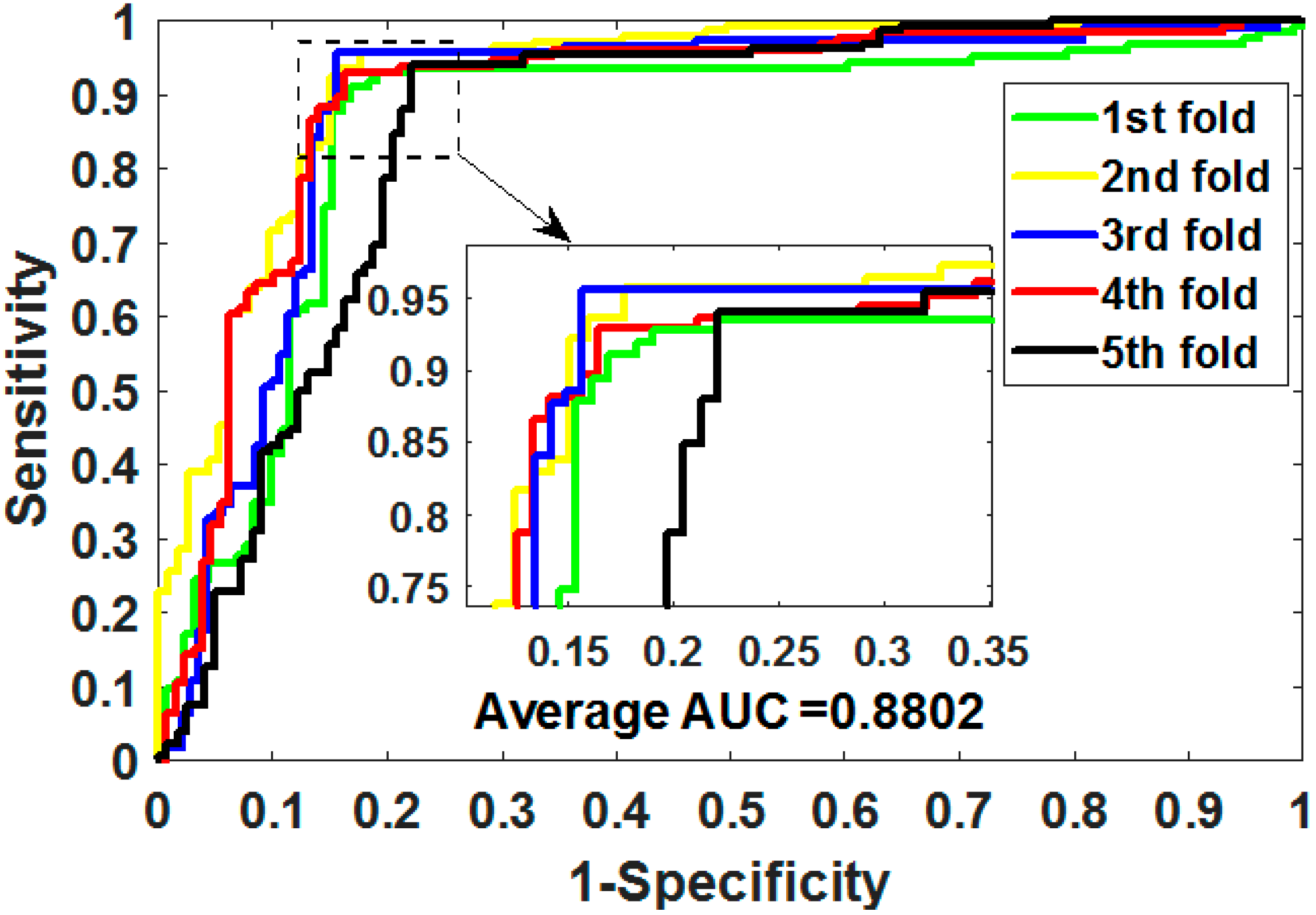 Biology 11 00740 g004