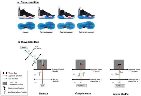 Biology Free Full-Text Does the Location of Shoe Upper Support on Basketball Shoes Influence Ground Reaction Force and Ankle Mechanics during Cutting Maneuvers? image