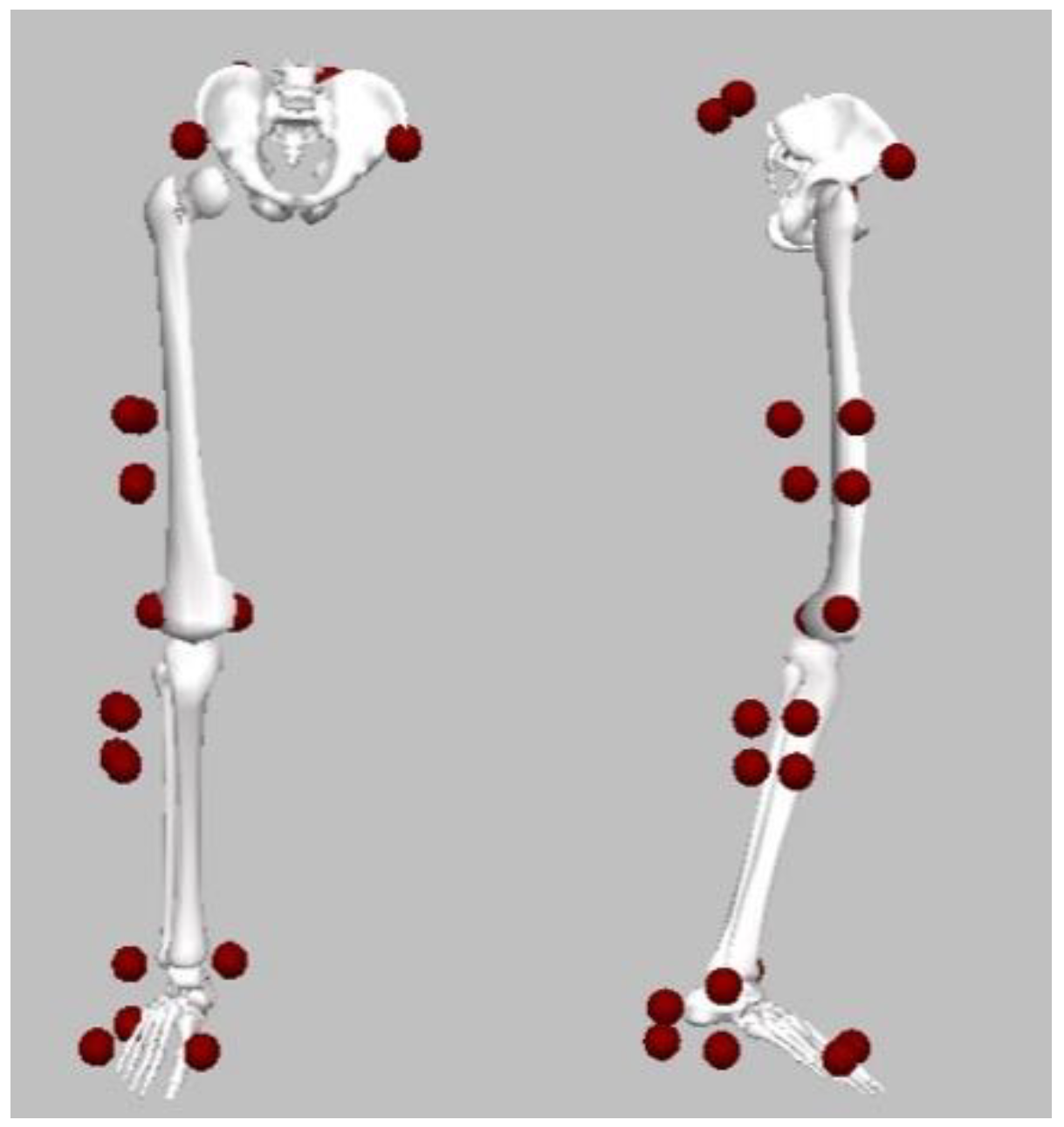 Biology 11 00743 g002 Biology 11 00743 g002