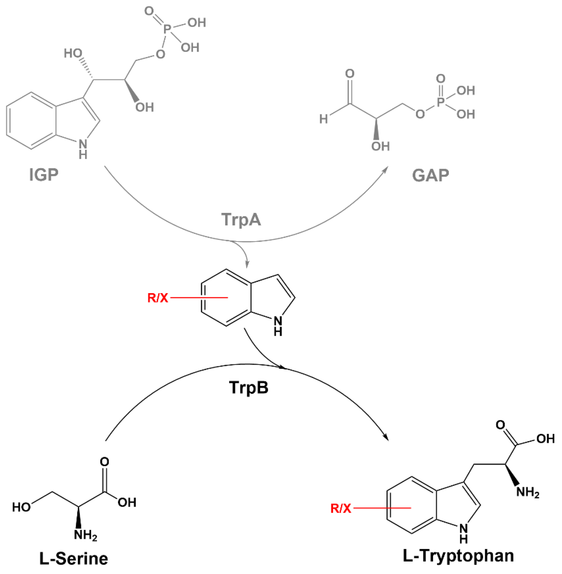 Biology 11 00744 sch001 Biology 11 00744 sch001