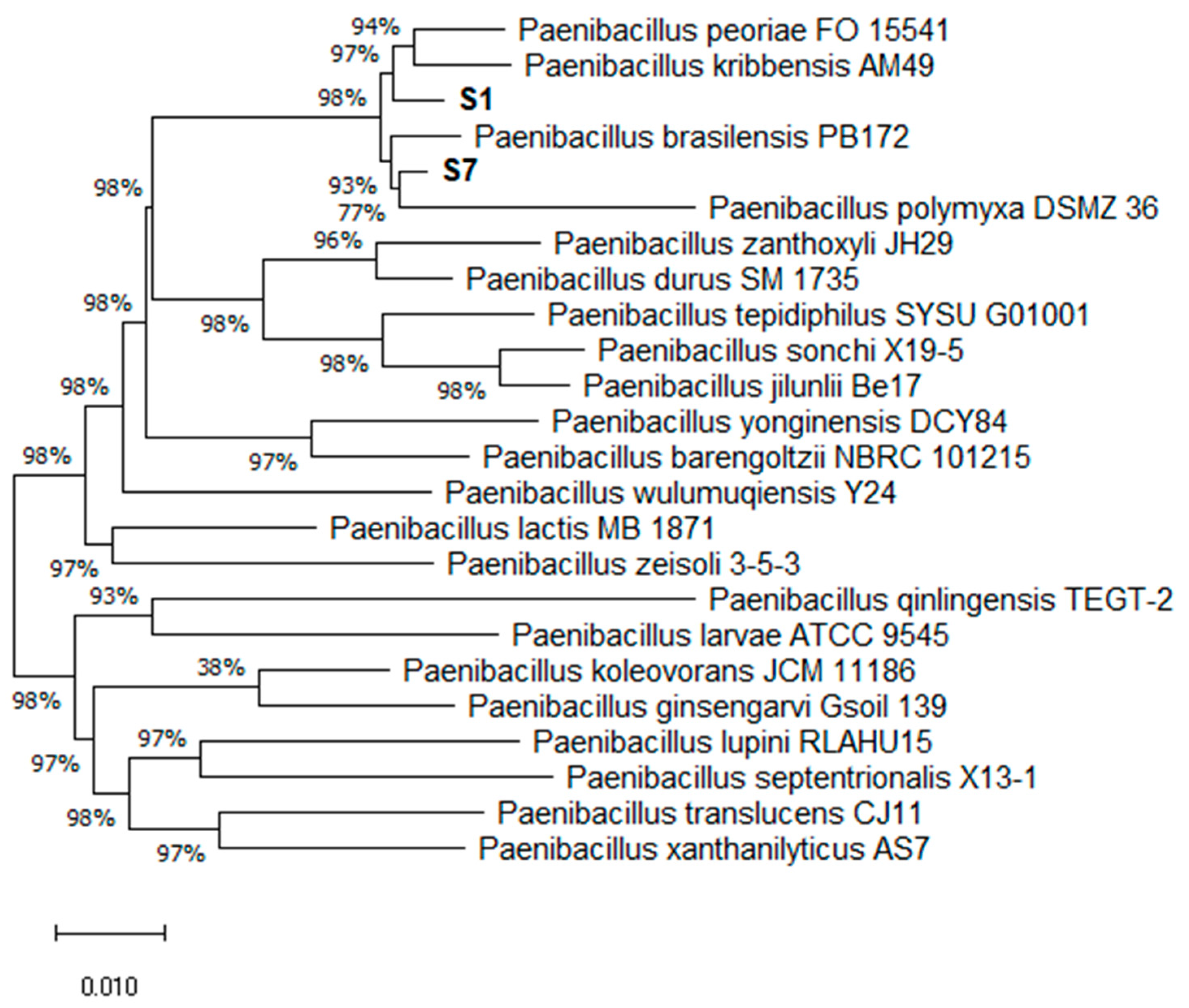 Biology 11 00745 g001 550